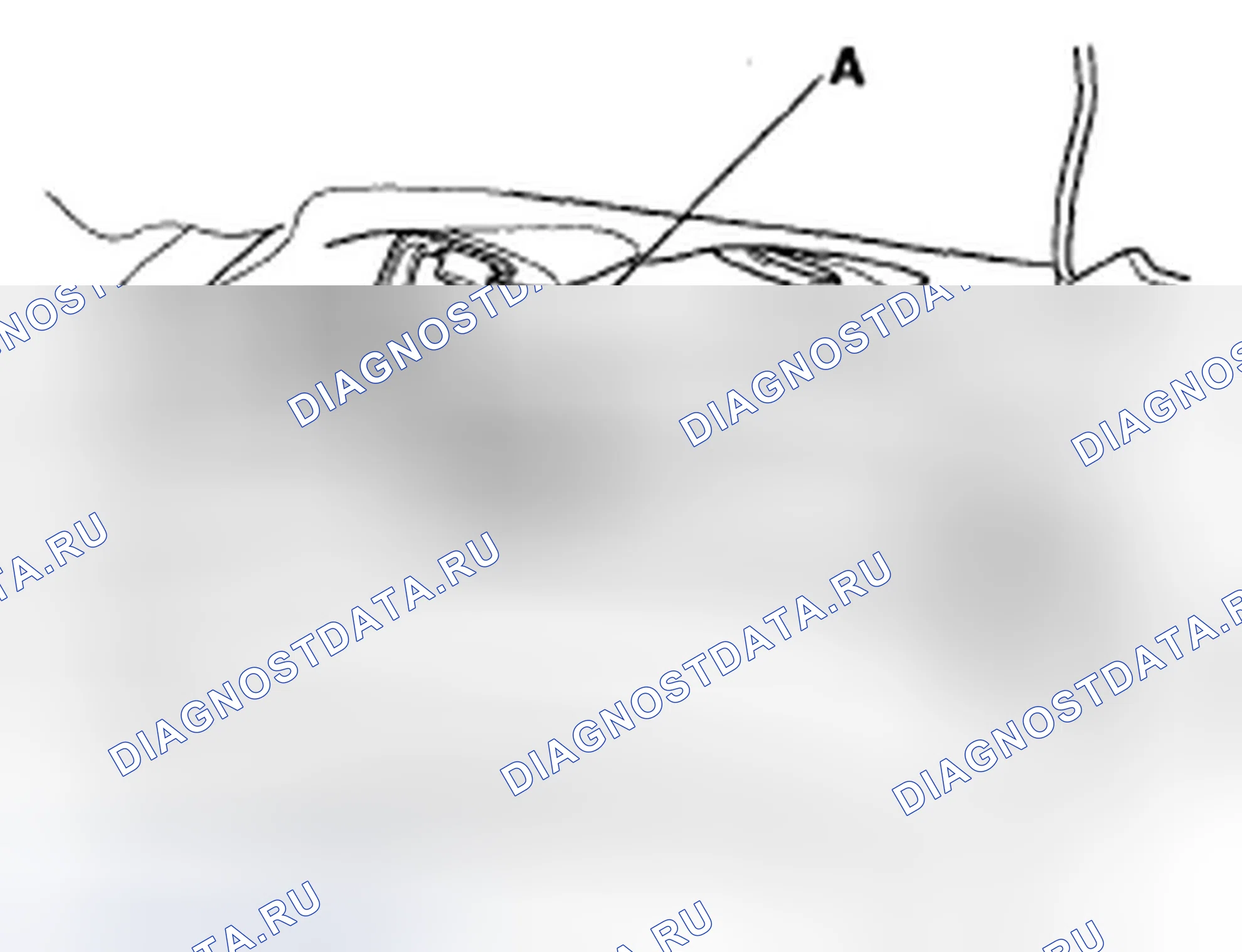Рис. 48. Acura TSX I