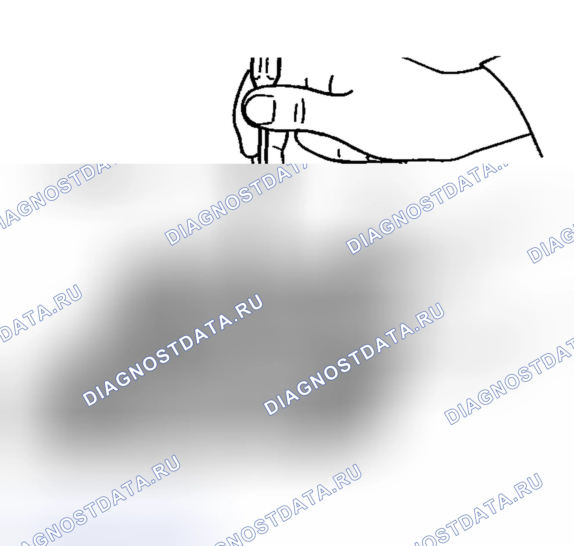 Рис. 1345. Nissan Sentra B15