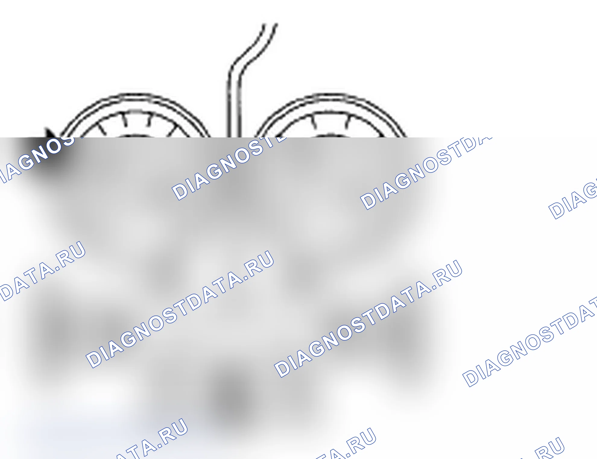 Рис. 70. Subaru Impreza WRX GD/GG рестайлинг 2
