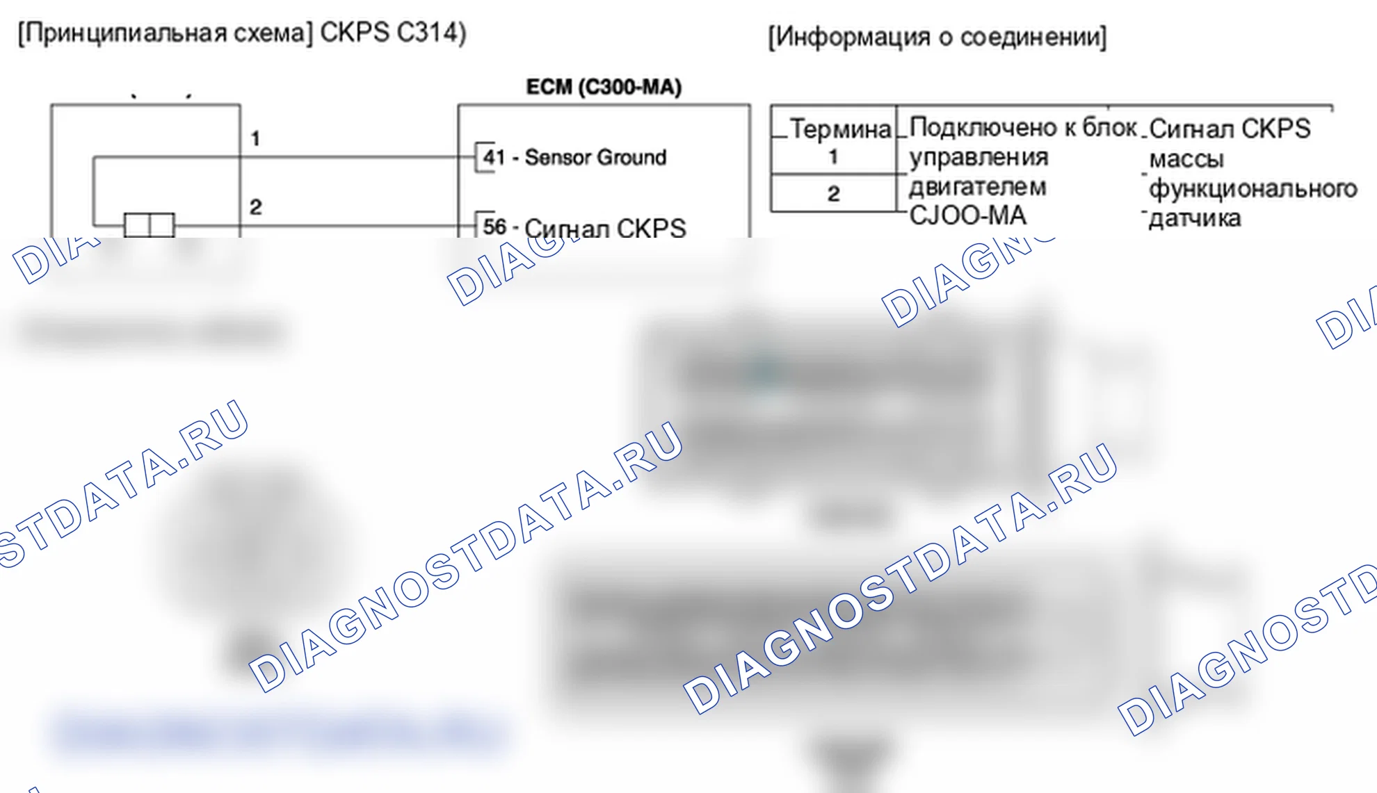 Фрагмент электросхемы: Датчик положения коленчатого вала (CKPS). Hyundai ix35 EL