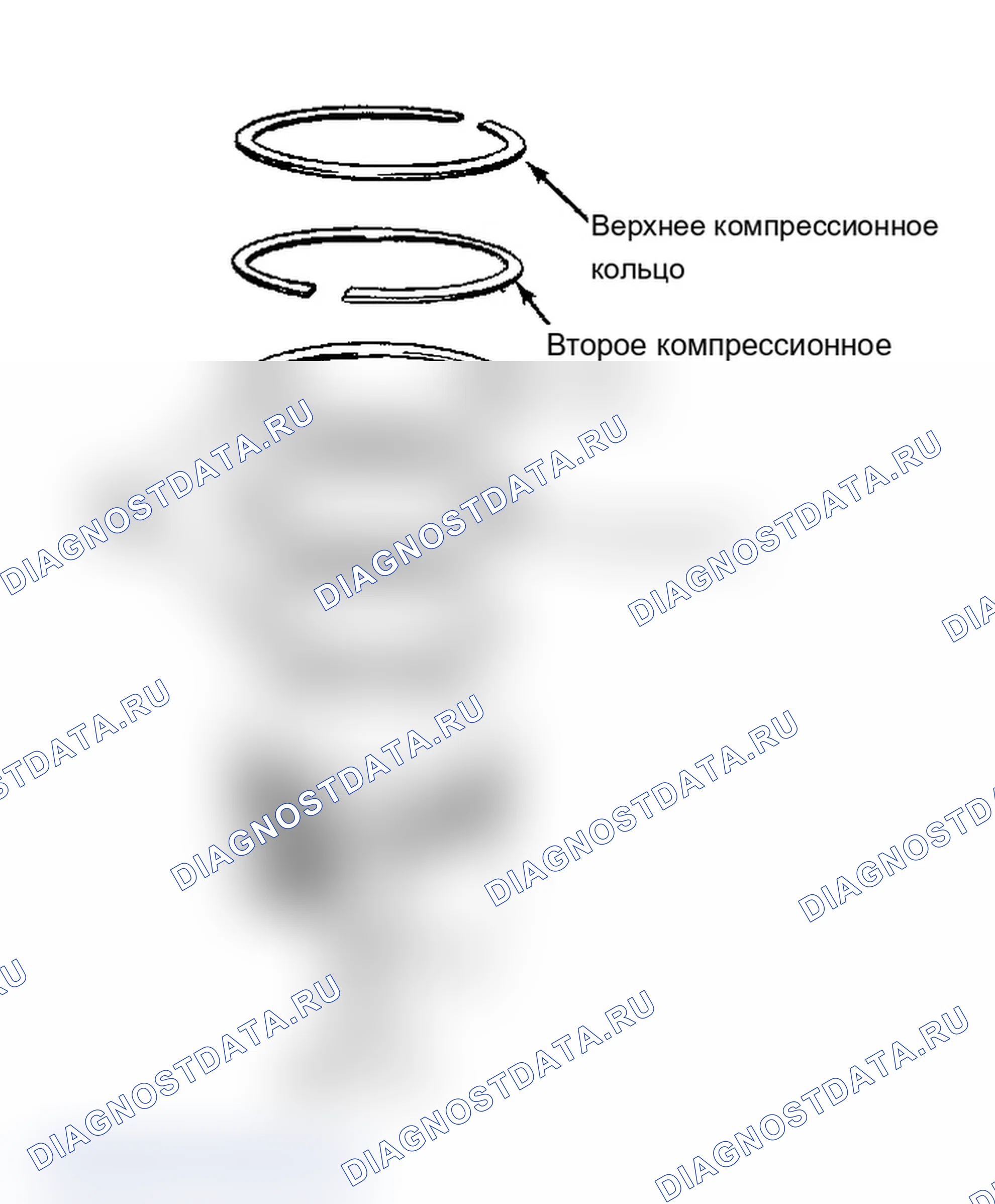 Рис. 36: УСТАНОВОЧНЫЕ КОЛЬЦА. Chevrolet Camaro III рестайлинг