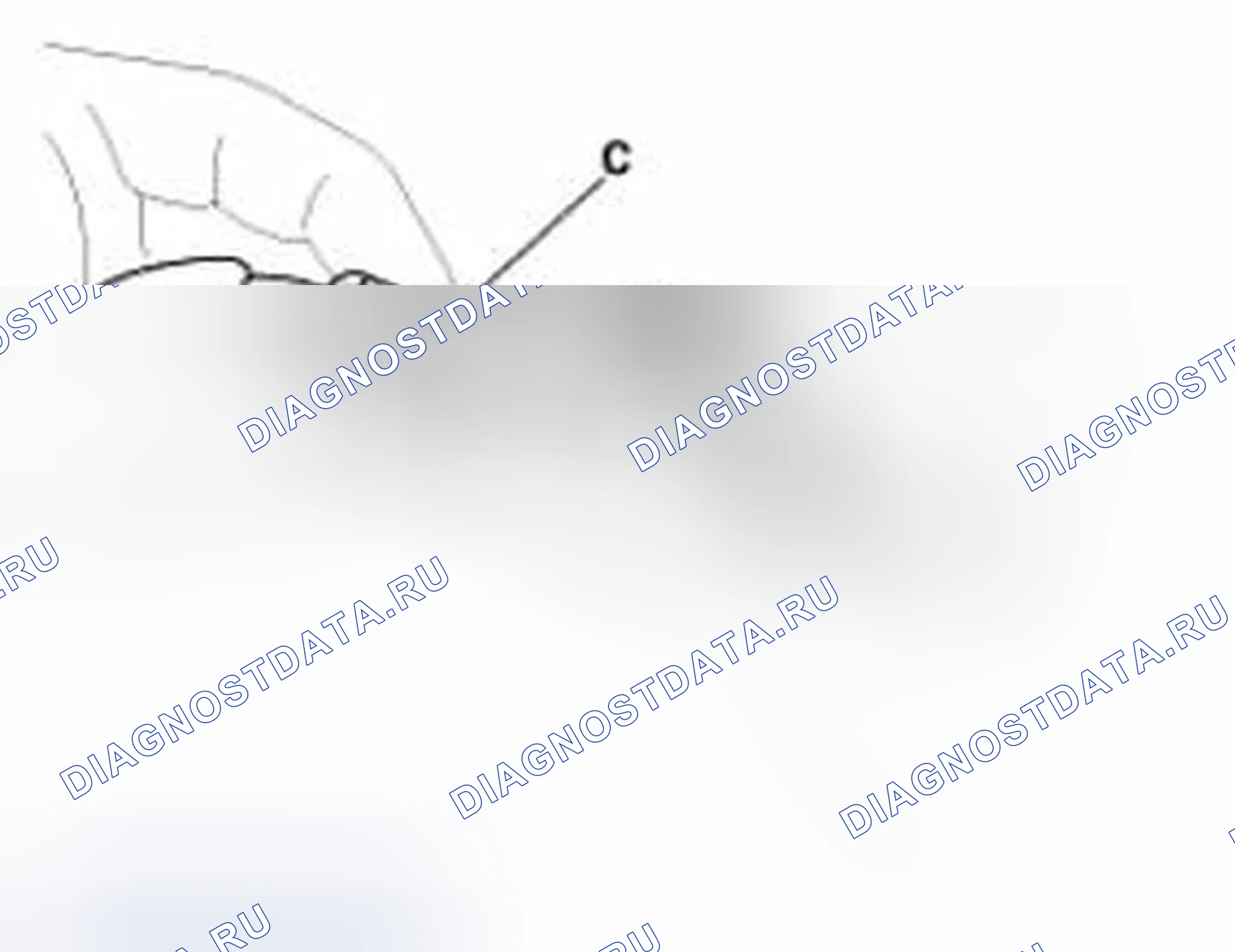 Рис. 34: Подключение. Hyundai Tucson II