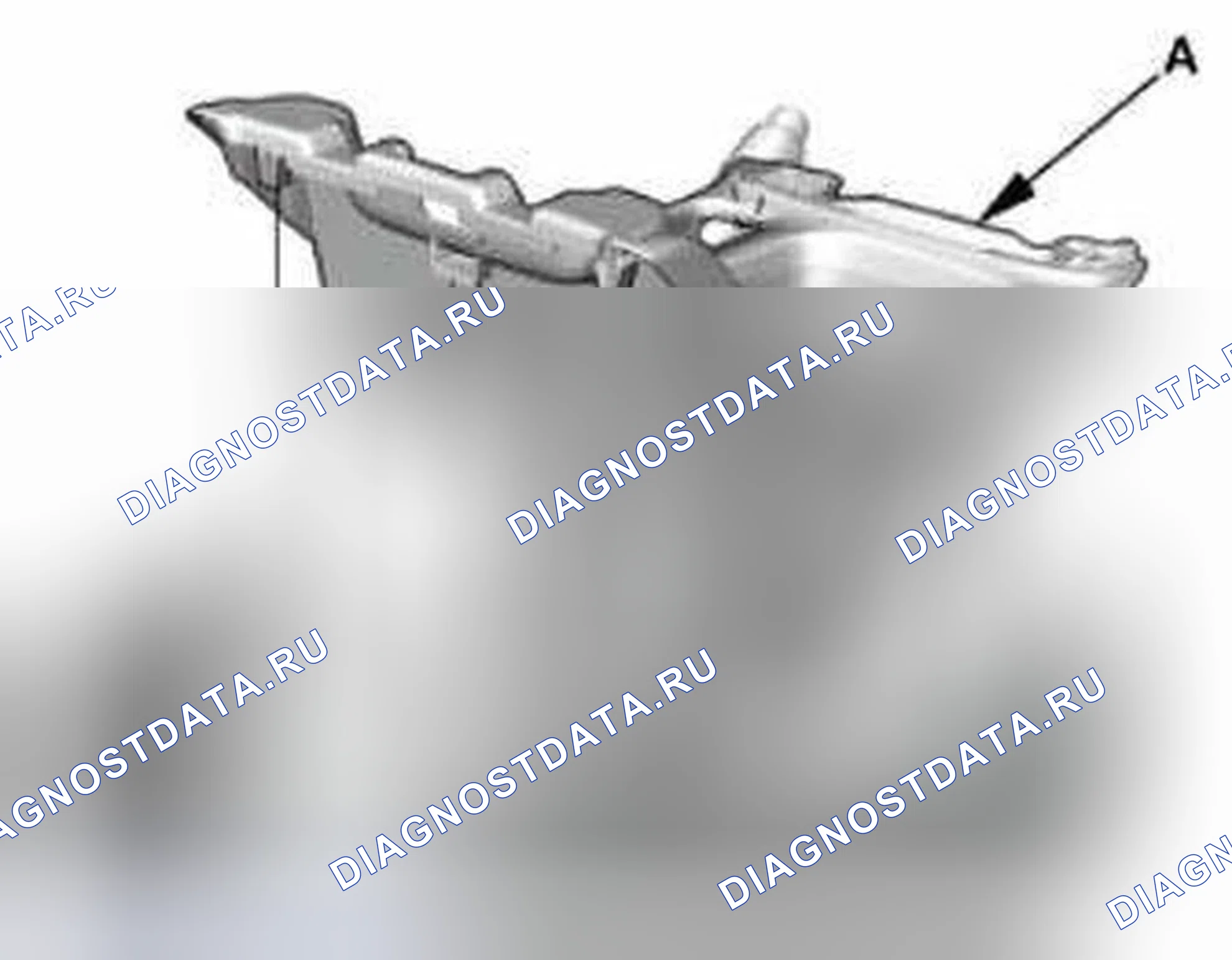 Рис. 943. Honda Civic IX