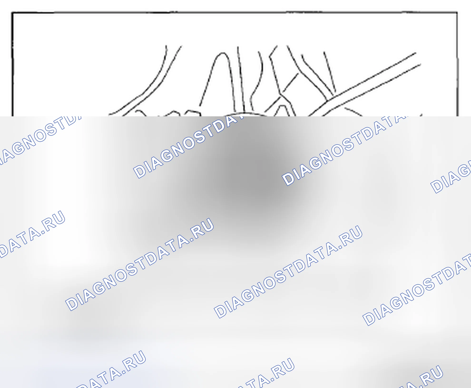 Рис. 1190: Сторона корпуса преобразователя (FW6A-EL). Mazda CX-5 I
