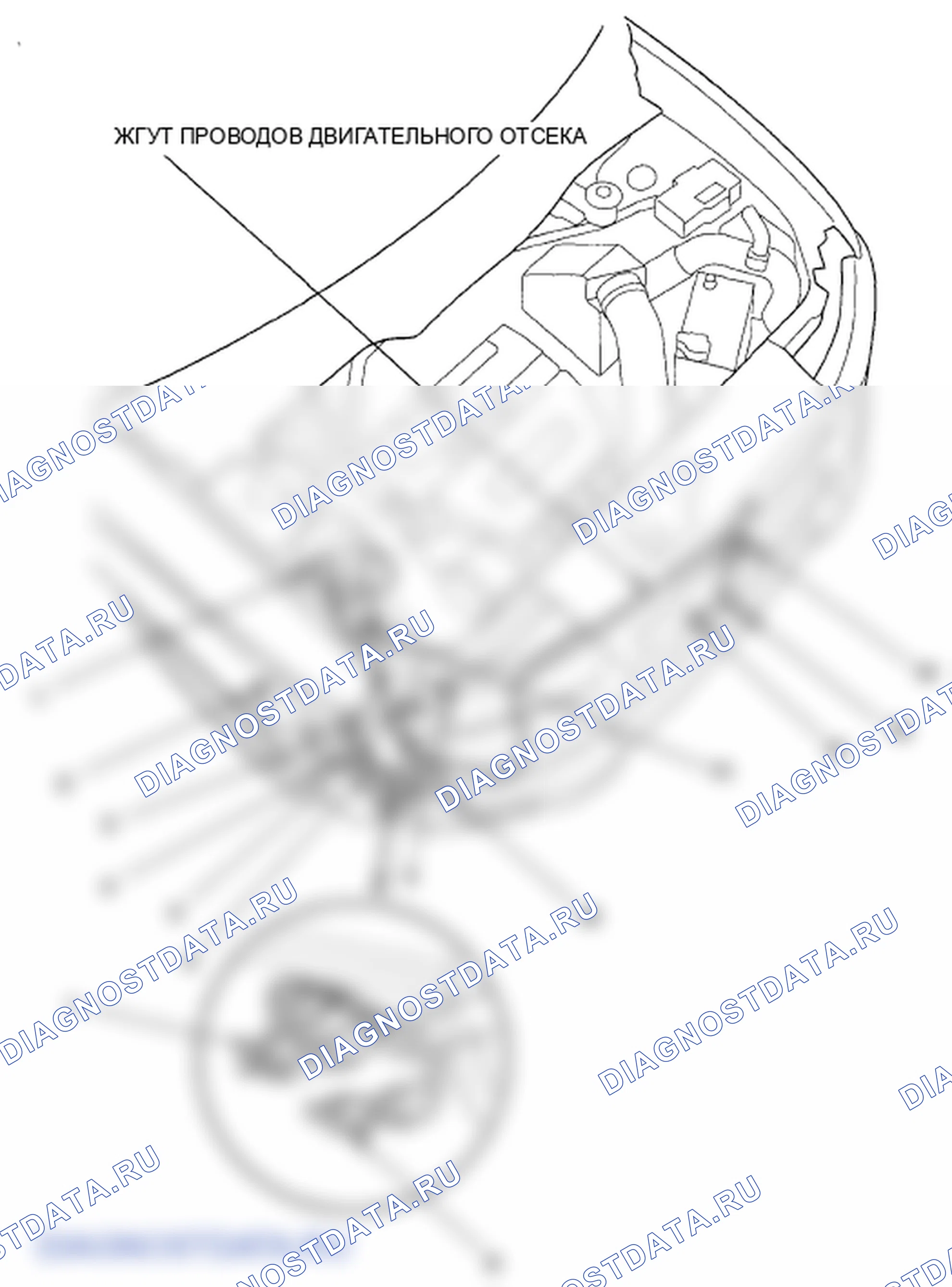 Рис. 44. Honda Element YH2 рестайлинг 2