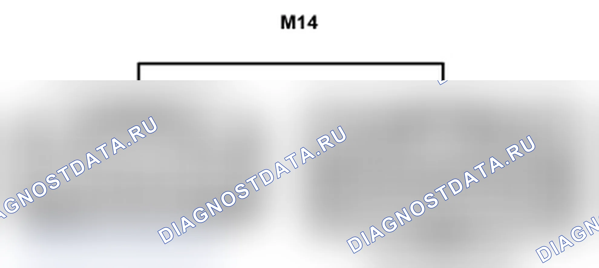 Рис. 371: Вид с торца соединительного разъема (M14). Lexus IS F I
