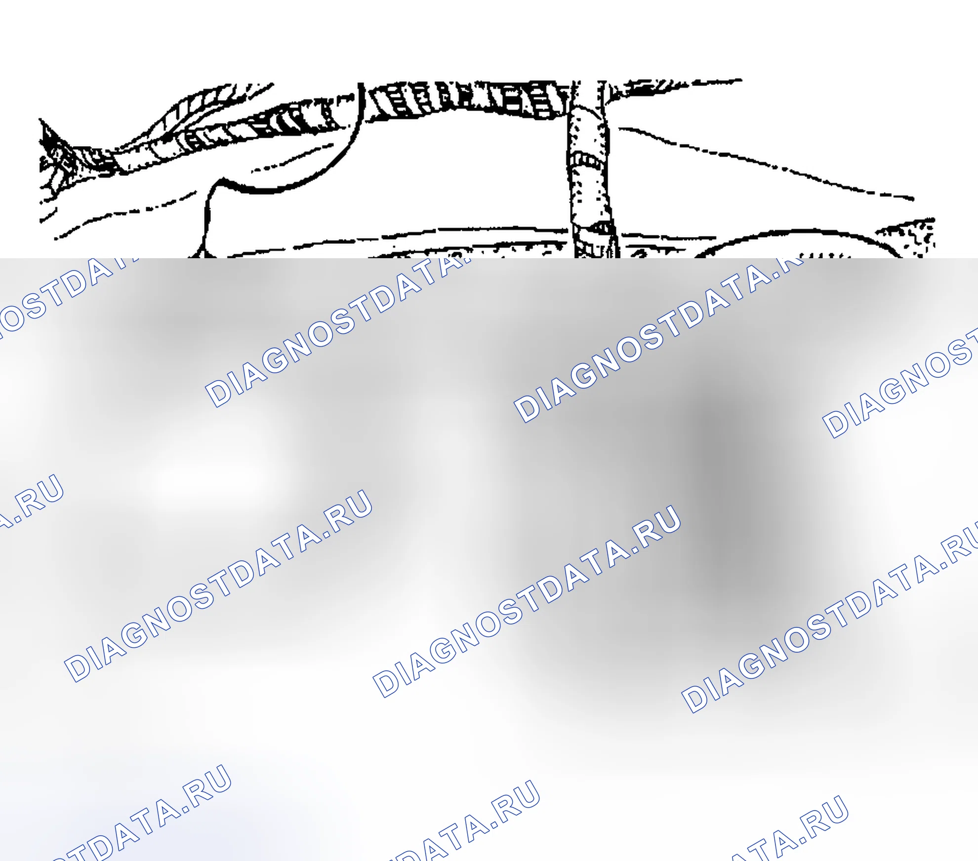 Рис. 239. Porsche Boxster 986