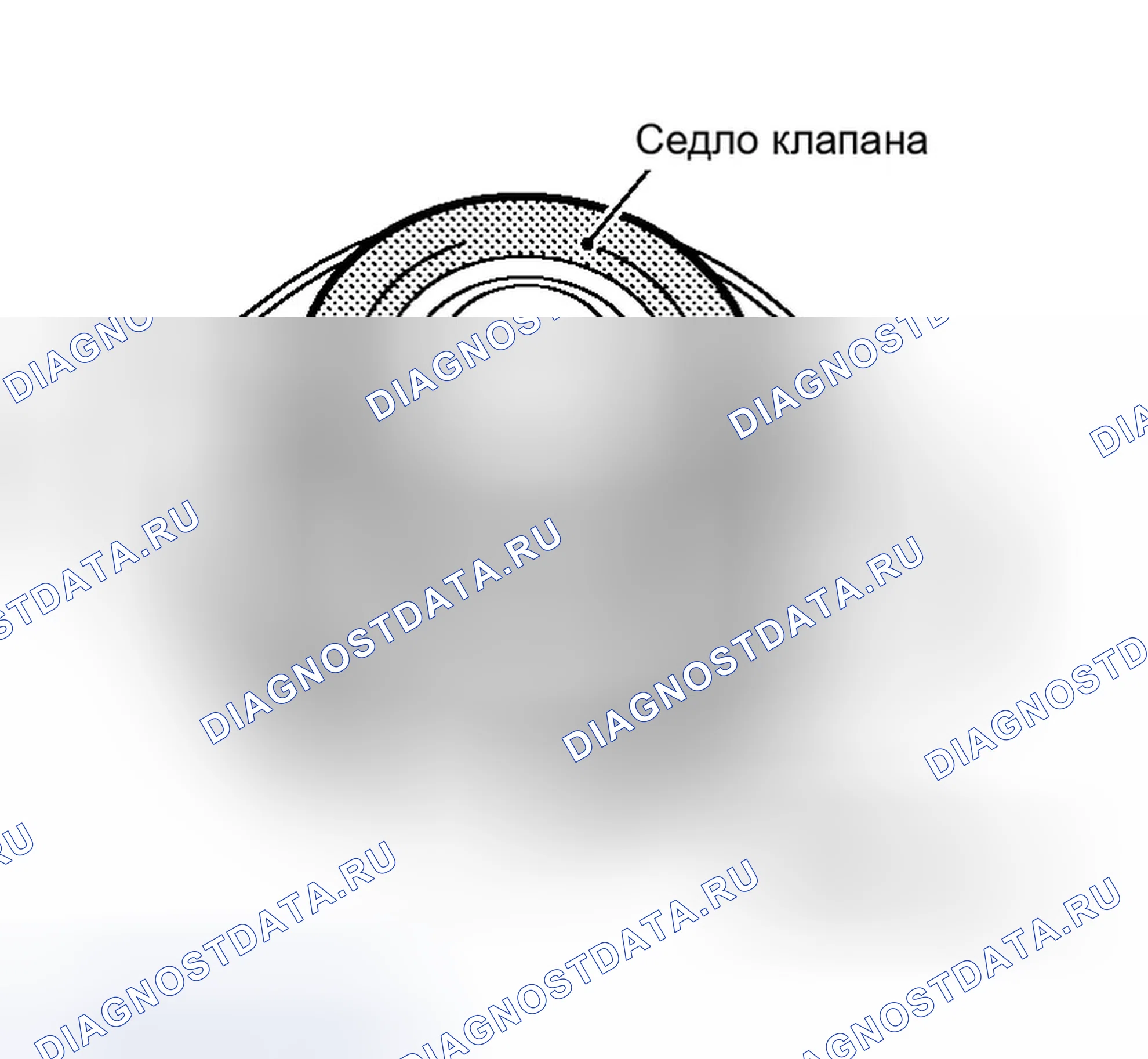 Рис. 145: Проверка крышки радиатора. Infiniti G35 III