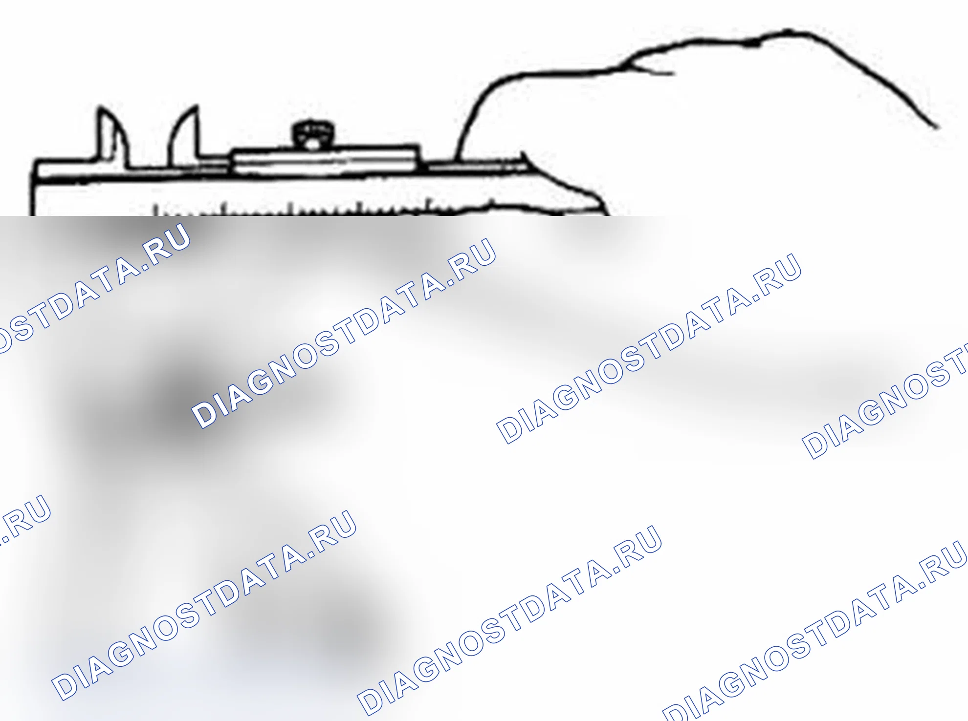 Рис. 14: Кисть. Suzuki Grand Vitara II рестайлинг