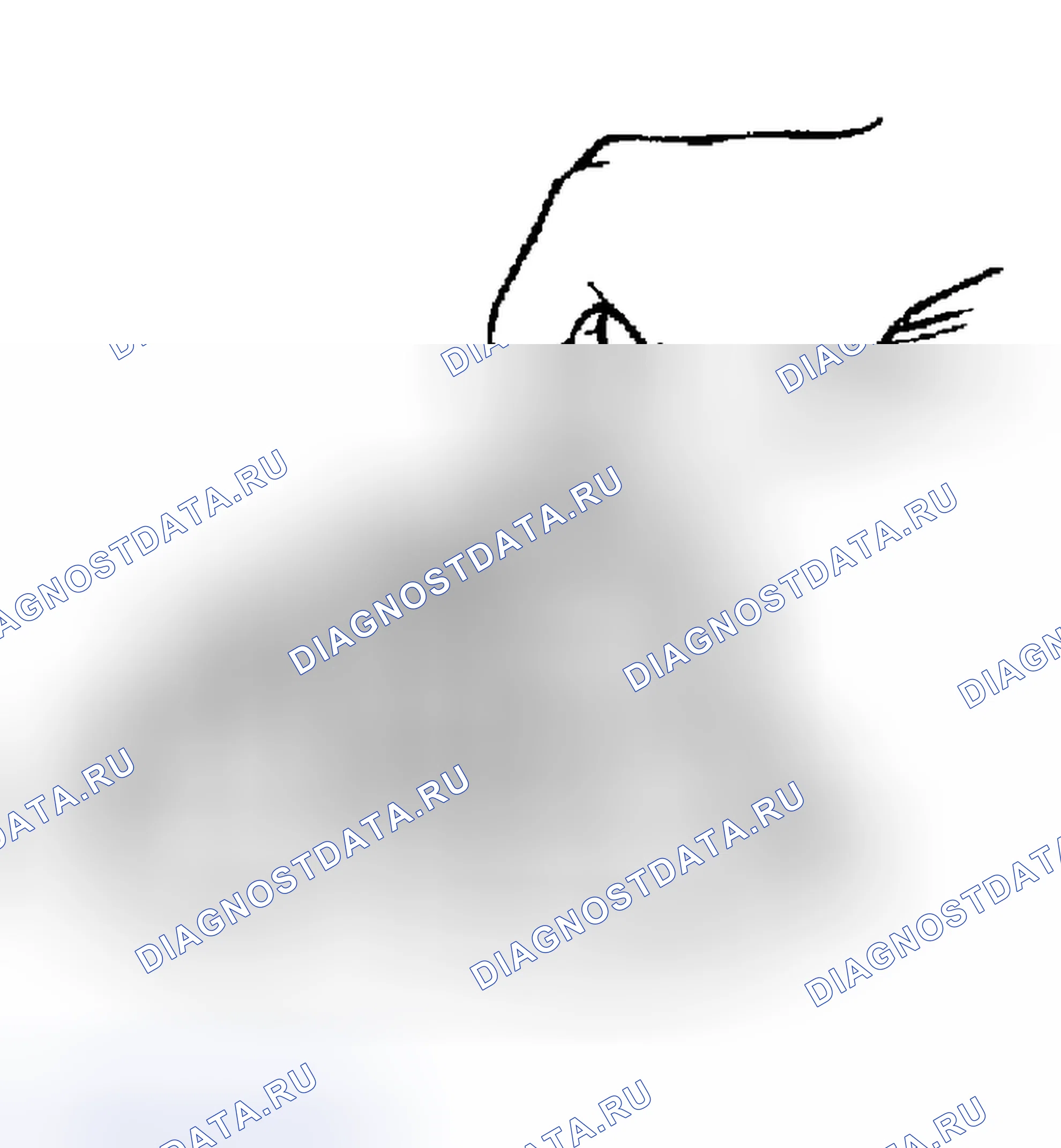 Рис. 315. Geely Xingyue L I