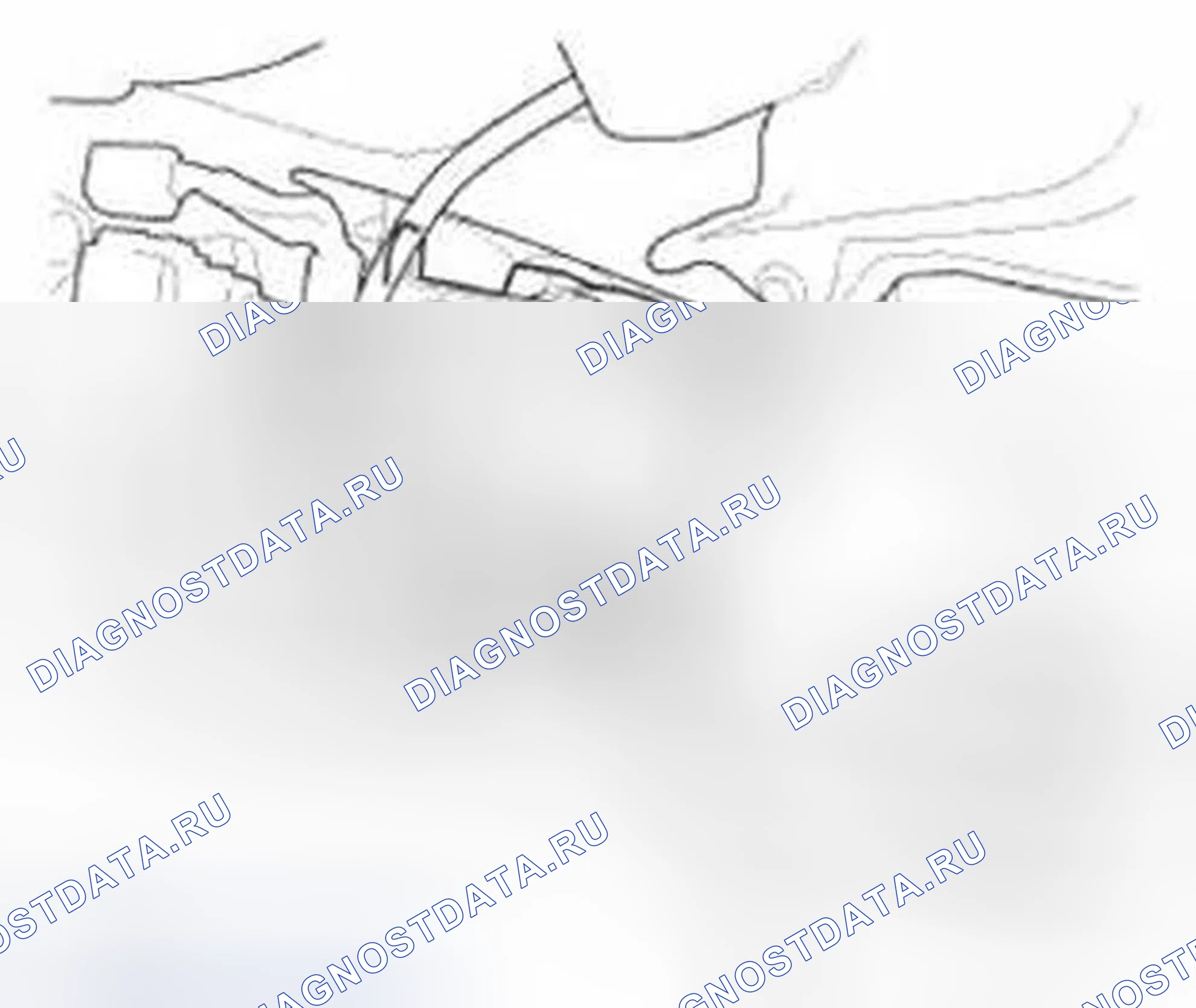 Рис. 499. Honda Civic IX