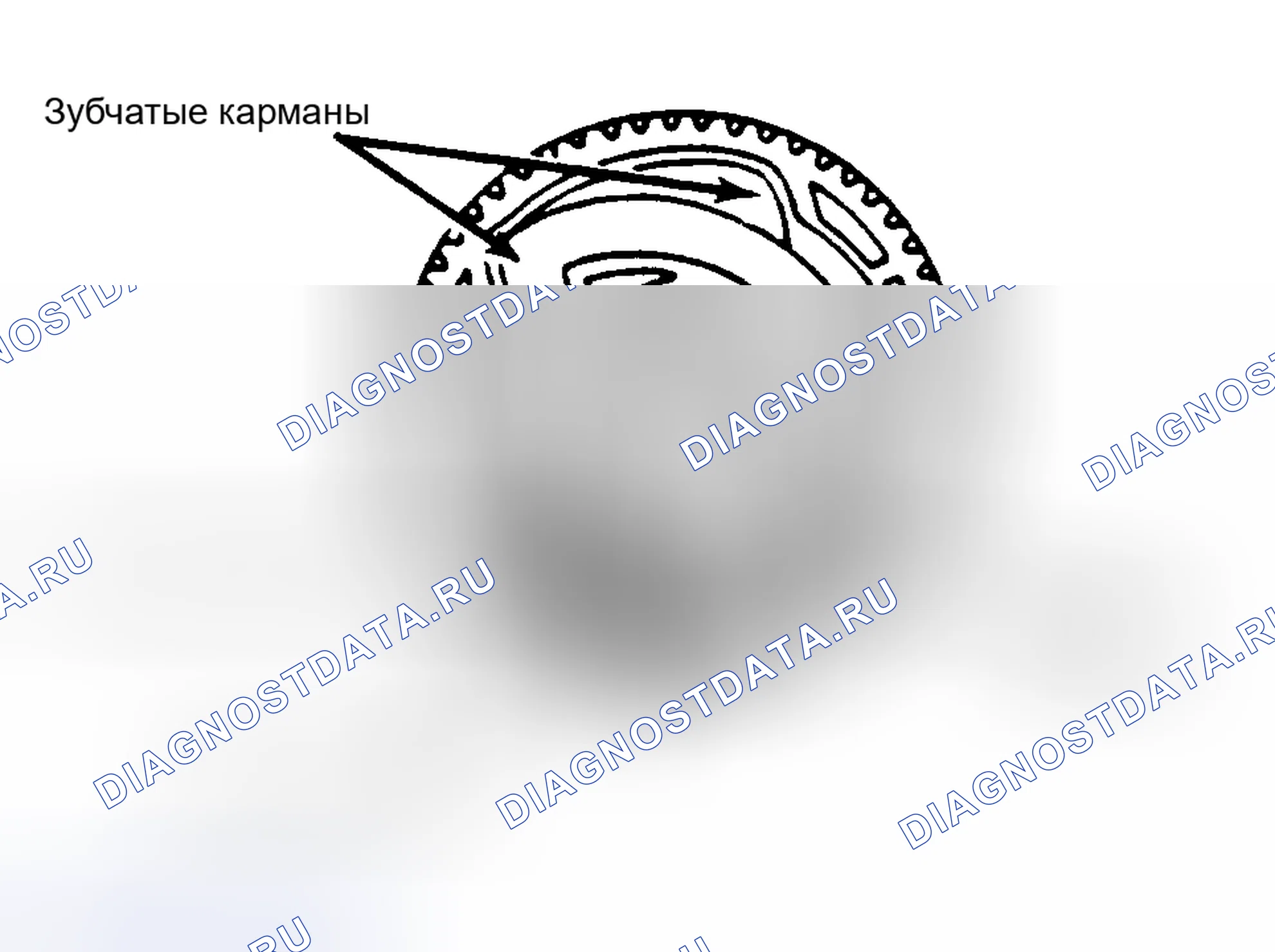 Рис. 3. Hyundai Staria I