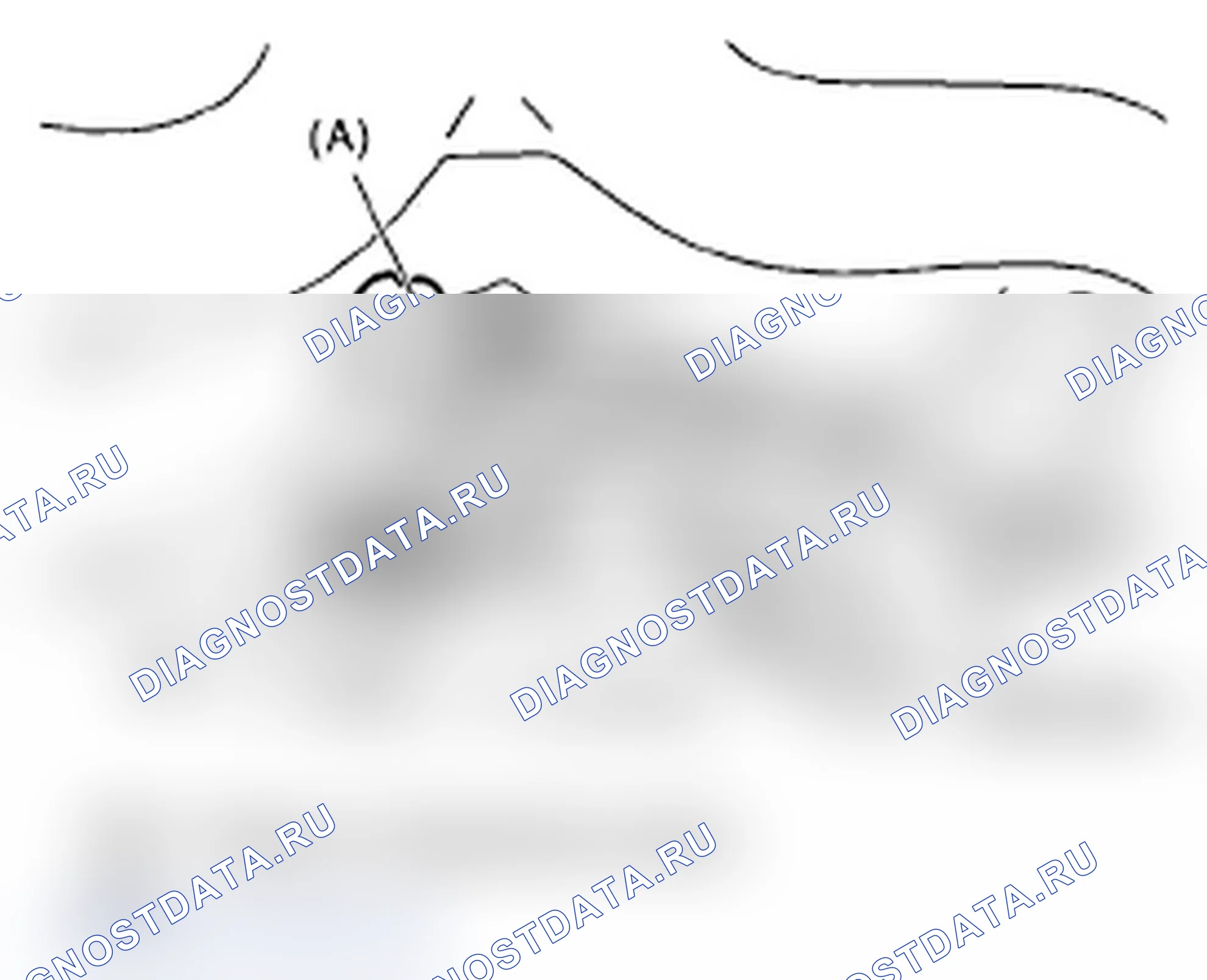 Рис. 53. Subaru Impreza WRX GD/GG рестайлинг 2