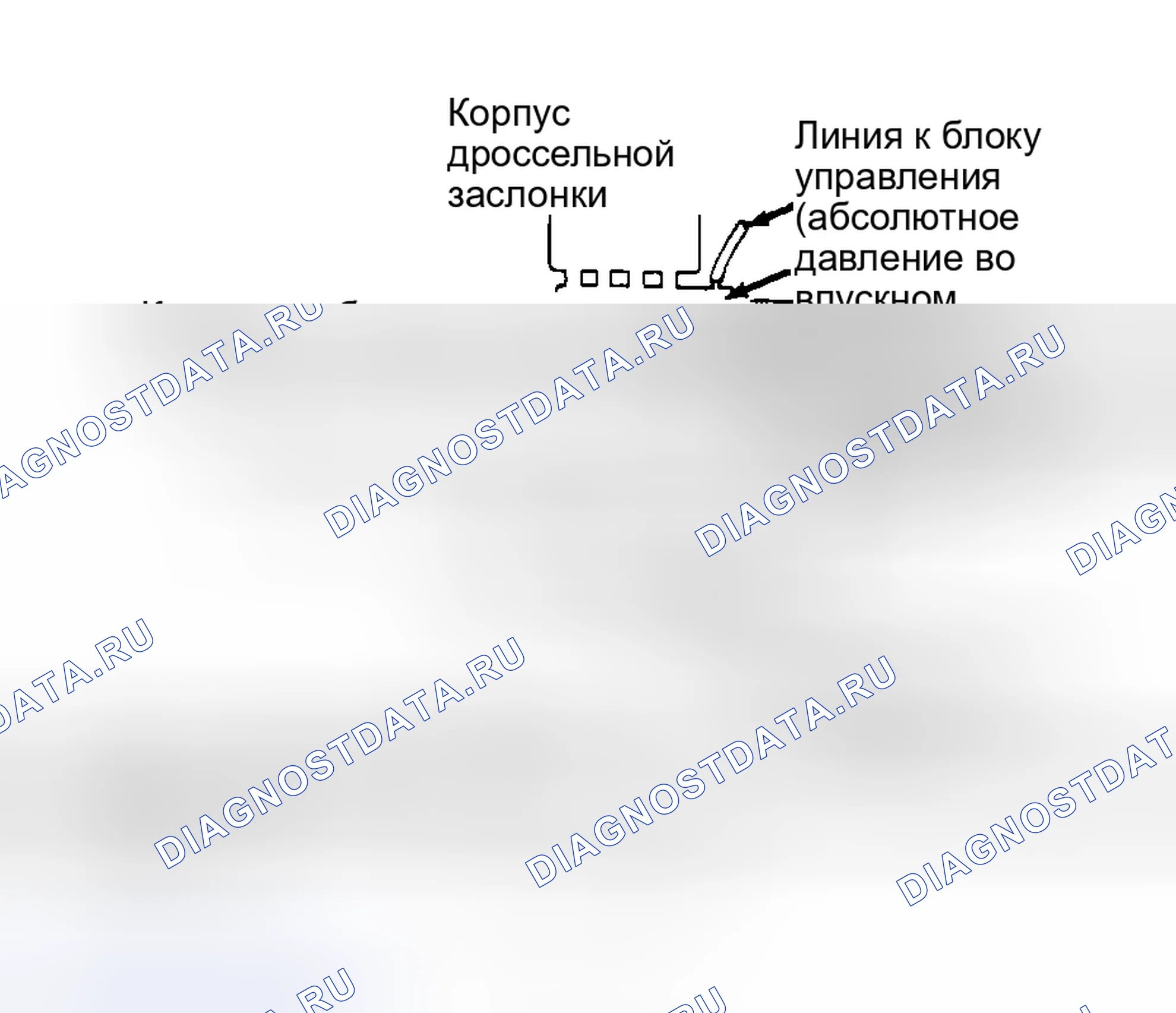 Рис. 2: НАГНЕТАТЕЛЬ (КОРРАДО). Volkswagen Fox G1
