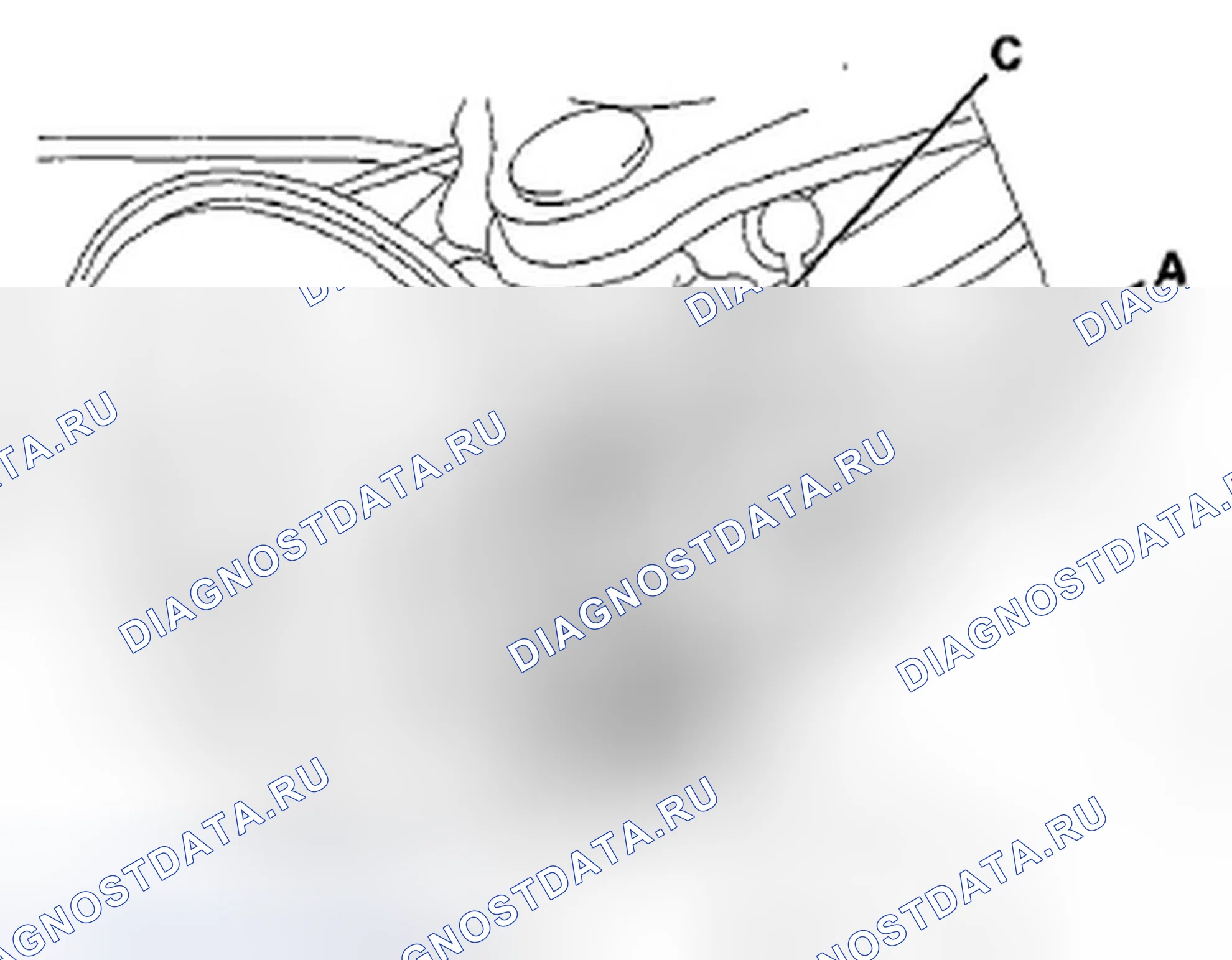 Рис. 26. Honda Crosstour I