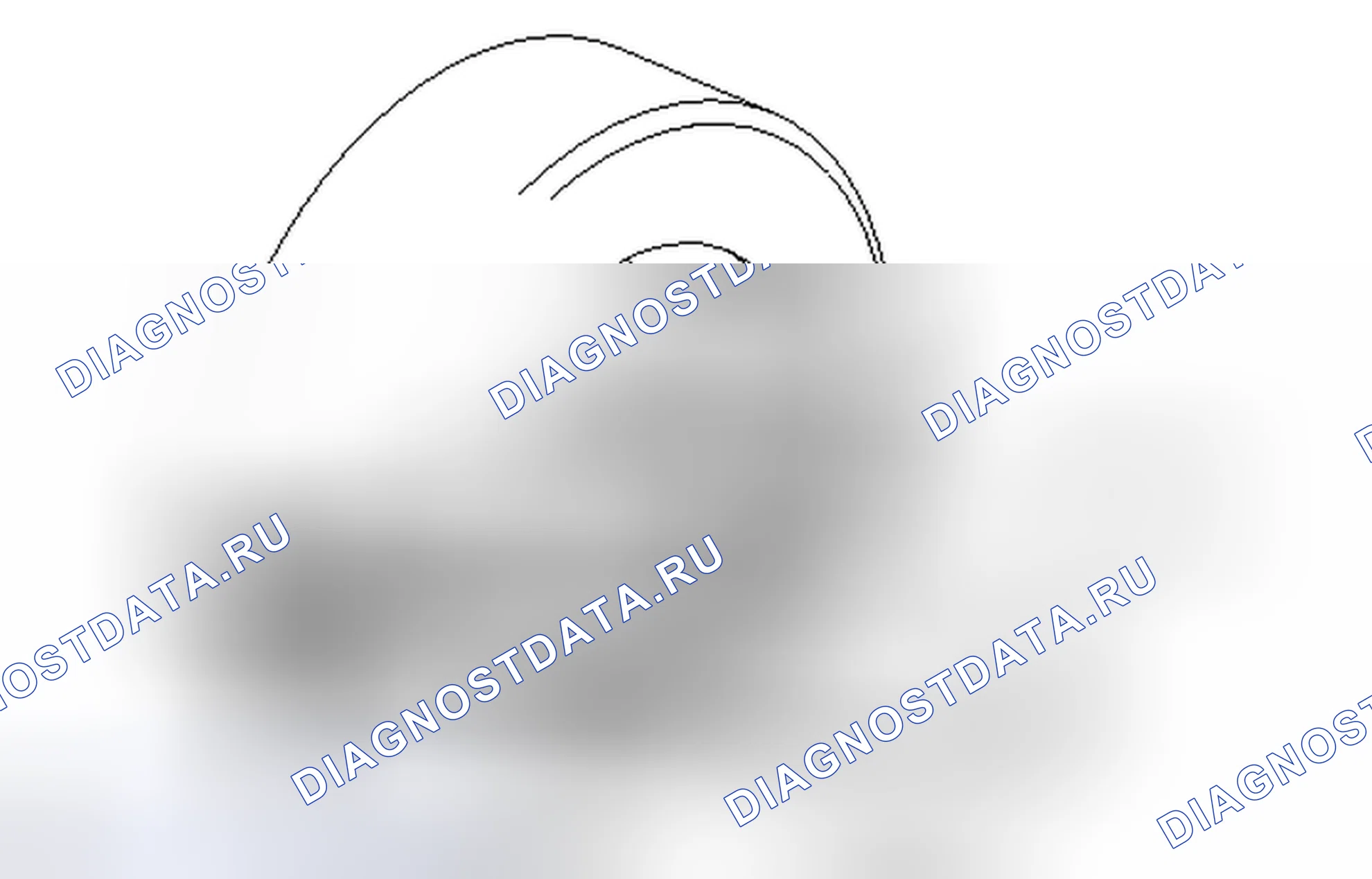 Рис. 92. Haval H4 I