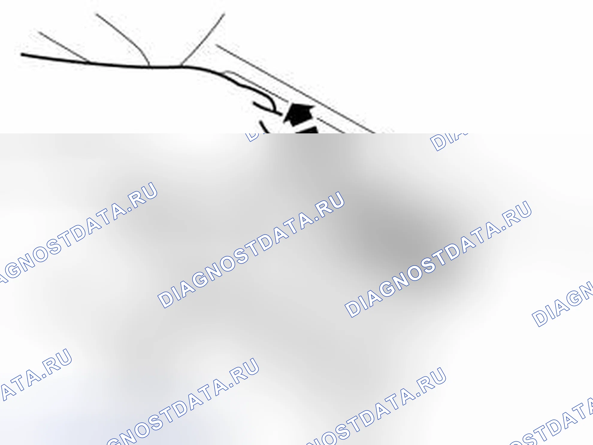 Рис. 1374. Volvo V50 I