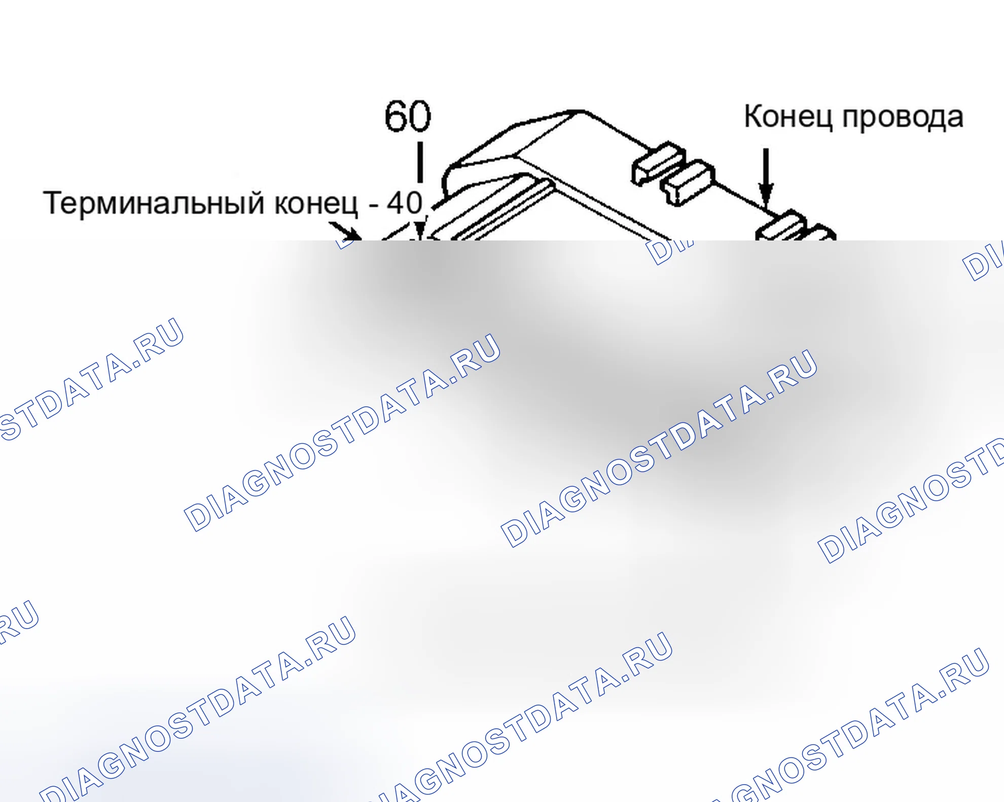 Рис. 6. Dodge Dakota WS 