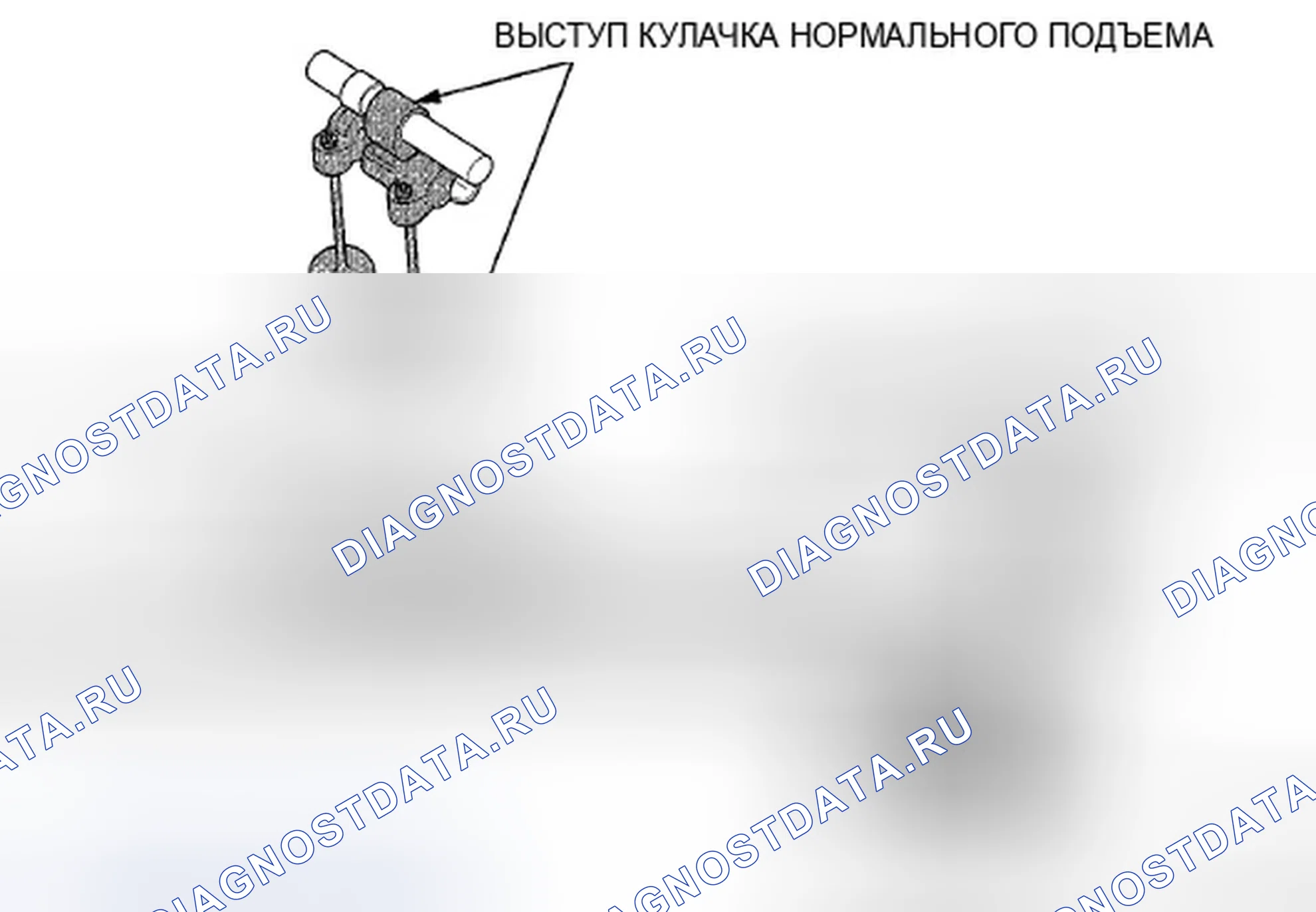 Рис. 1033. Honda Accord VIII рестайлинг
