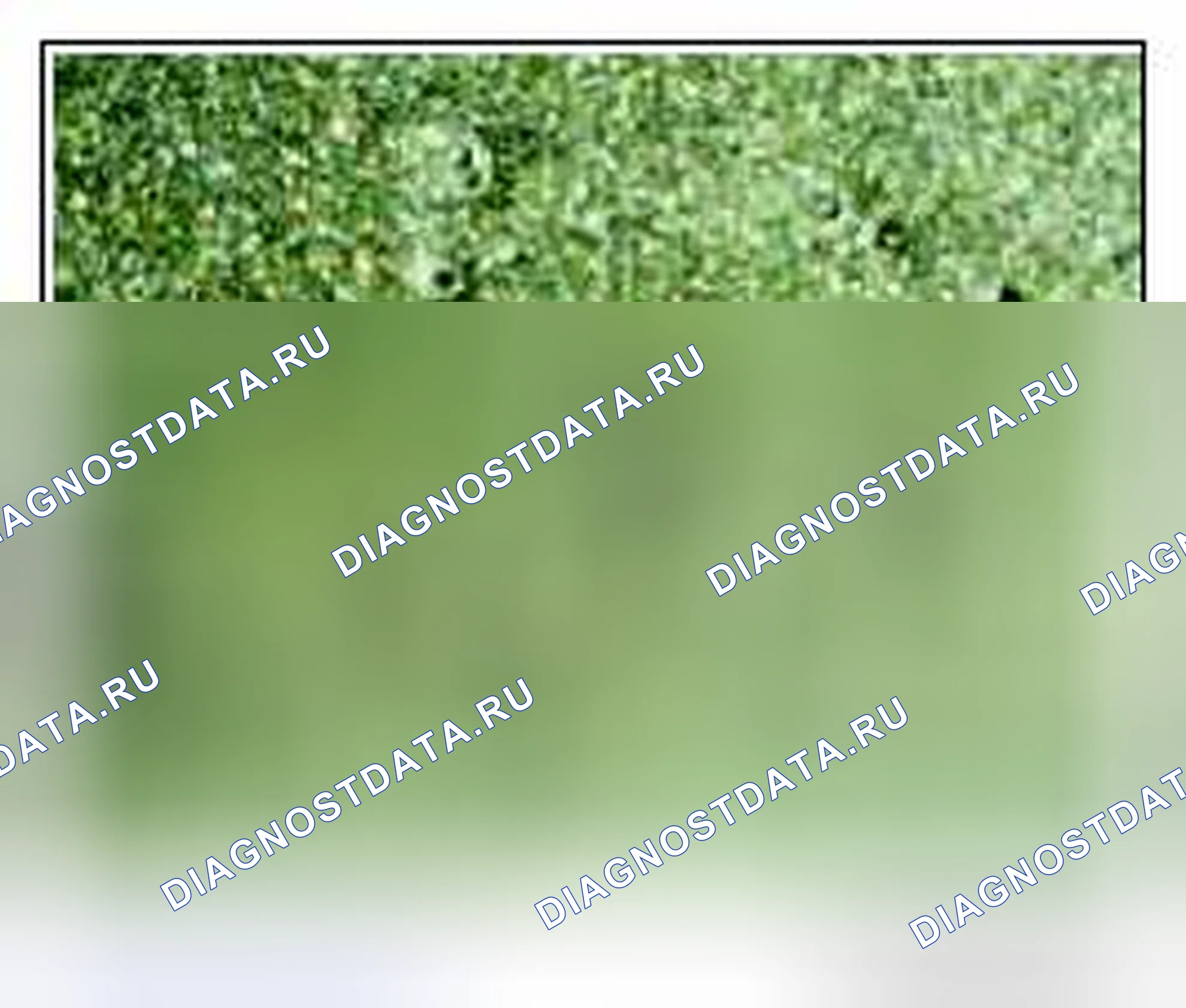 Рис. 24. Kia Soul I
