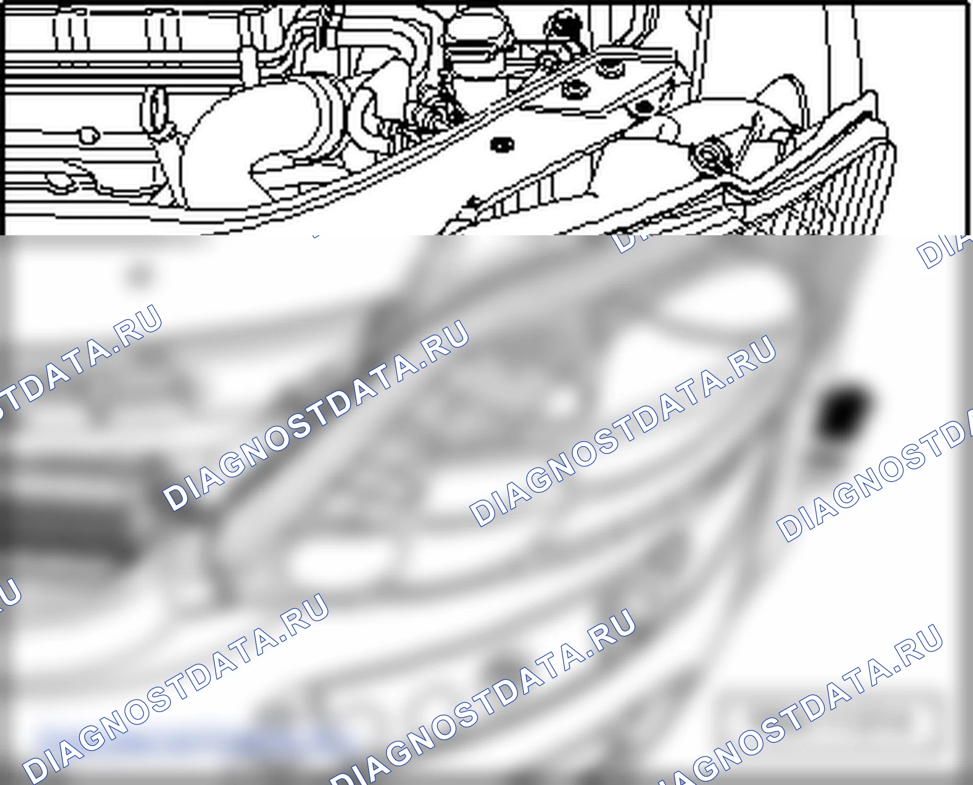 Основные фары. Volkswagen Golf Plus I