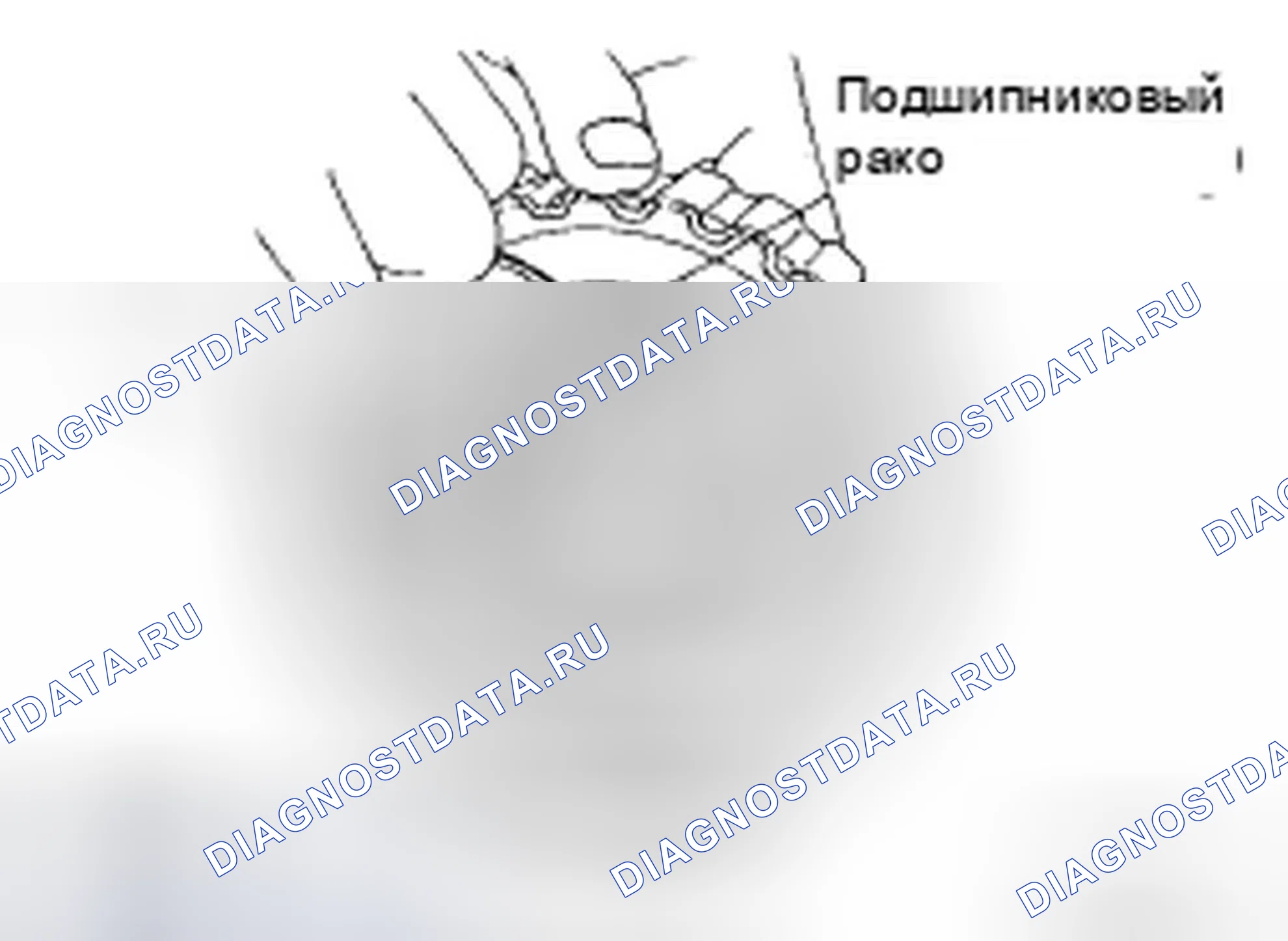 Рис. 46: РАЗБОРКА. Infiniti QX56 I рестайлинг