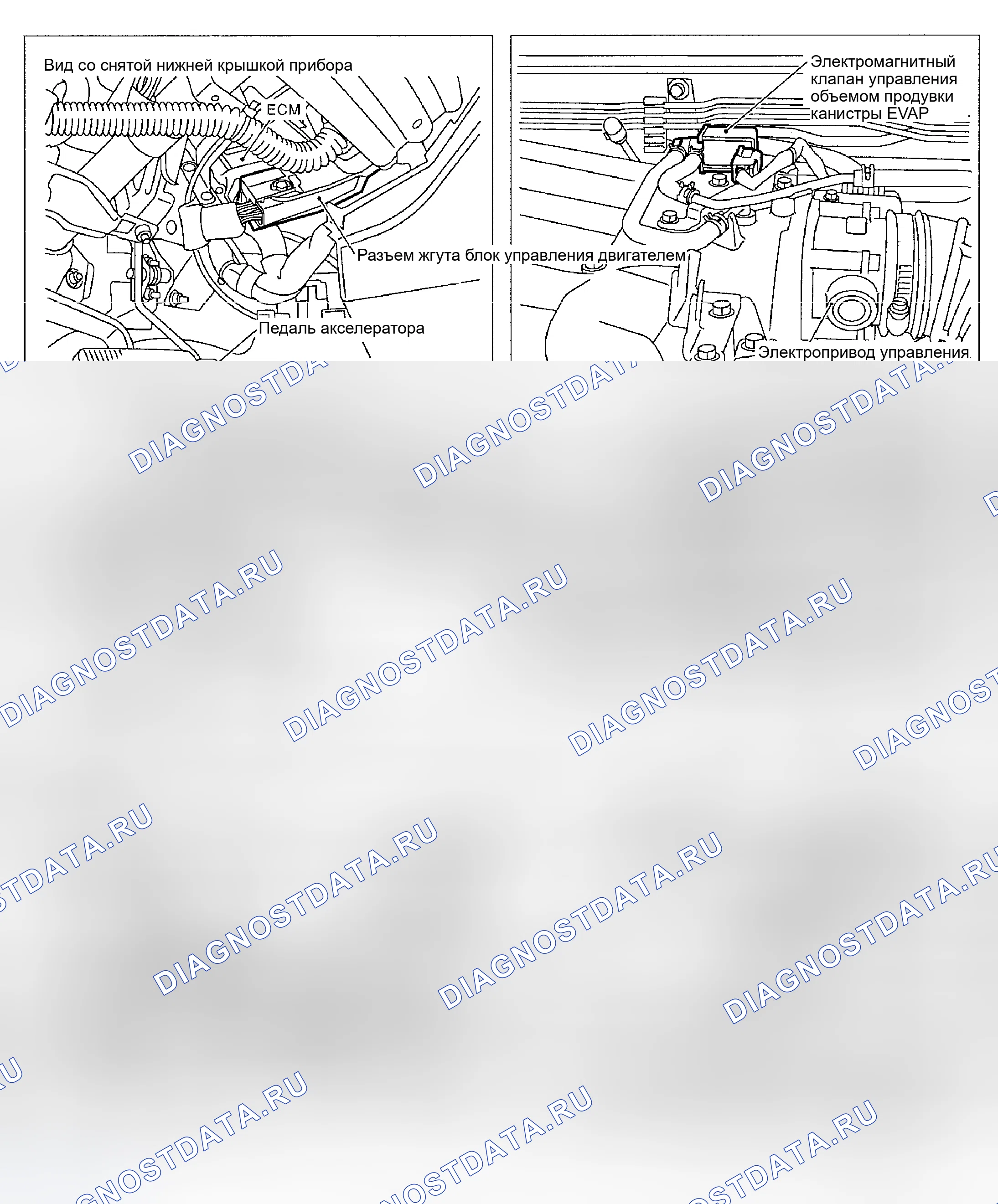 Рис. 56. Nissan Sentra B15