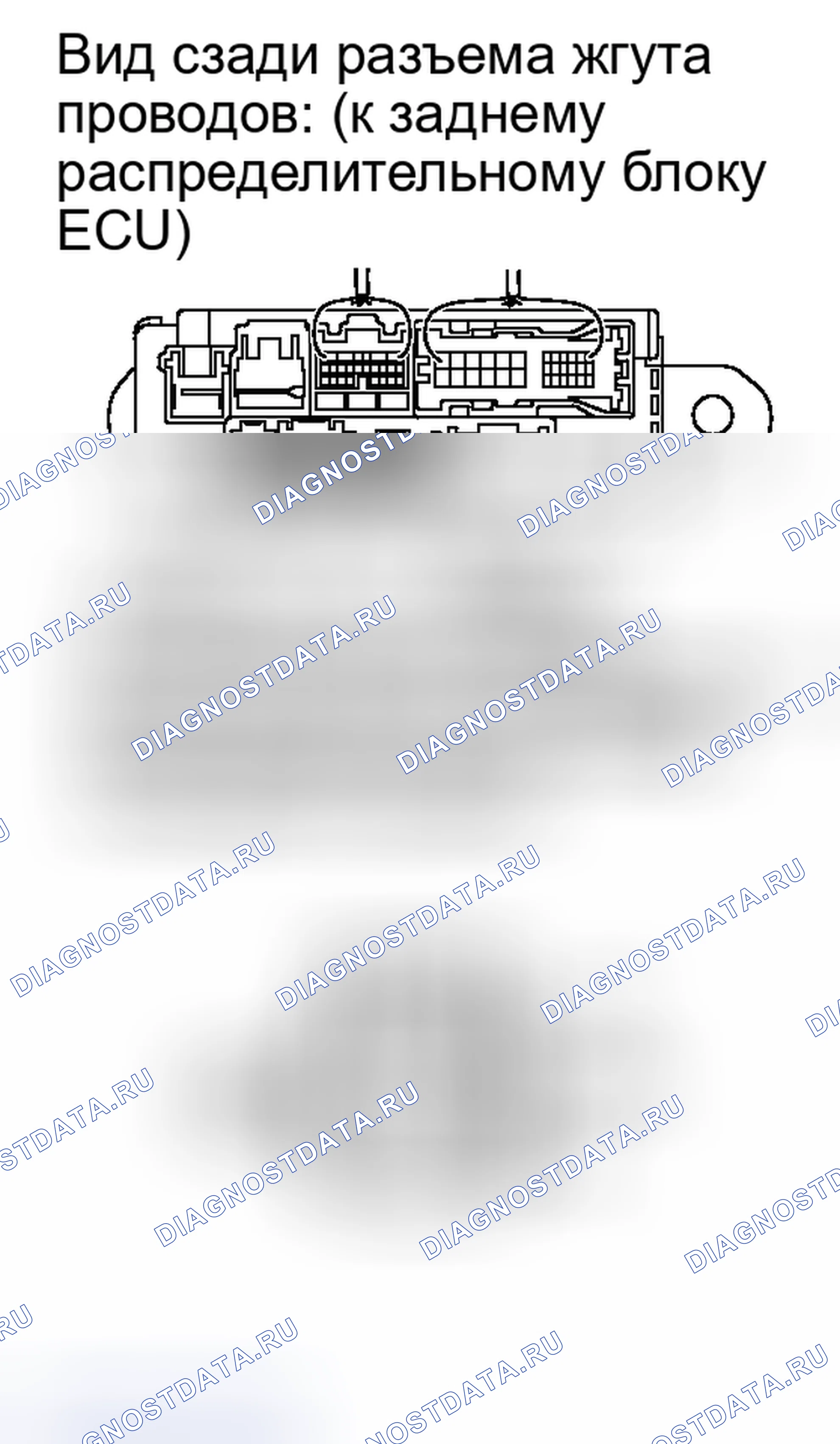 Рис. 118. Honda Accord IV