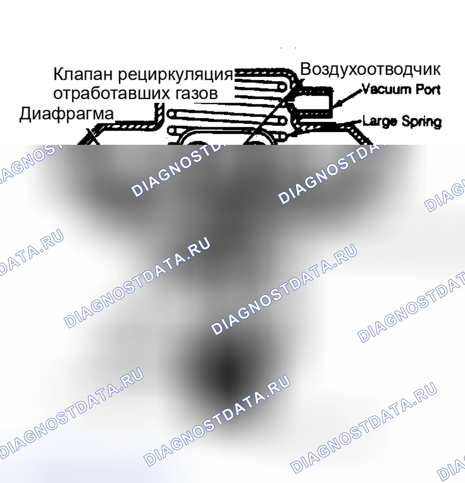 Рис. 56: Вид с местным разрезом клапана рециркуляция отработавших газов с отрицательным противодавлением. Pontiac Sunbird II