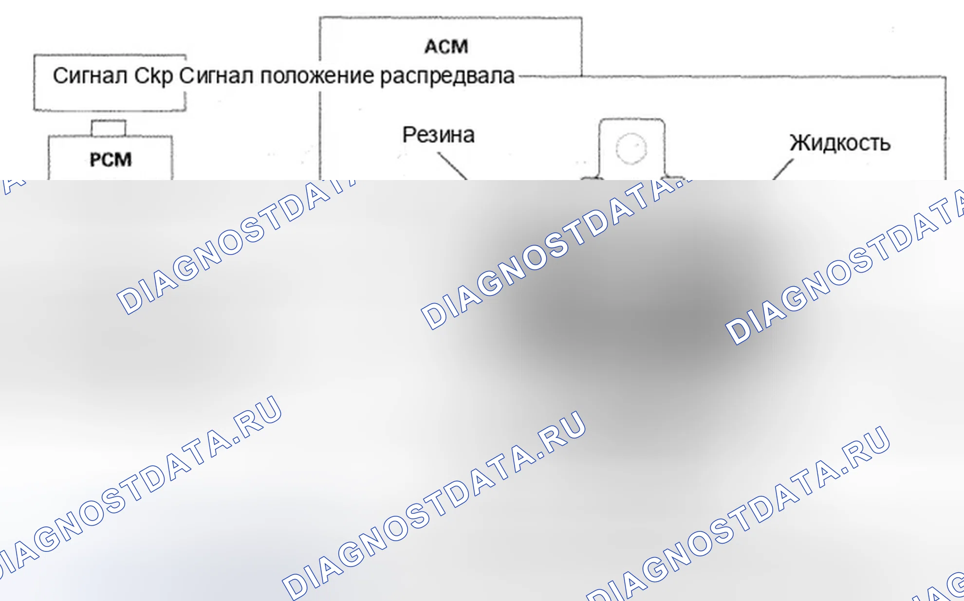 Рис. 9: Обзор систем управления двигателя. Honda Accord VIII рестайлинг