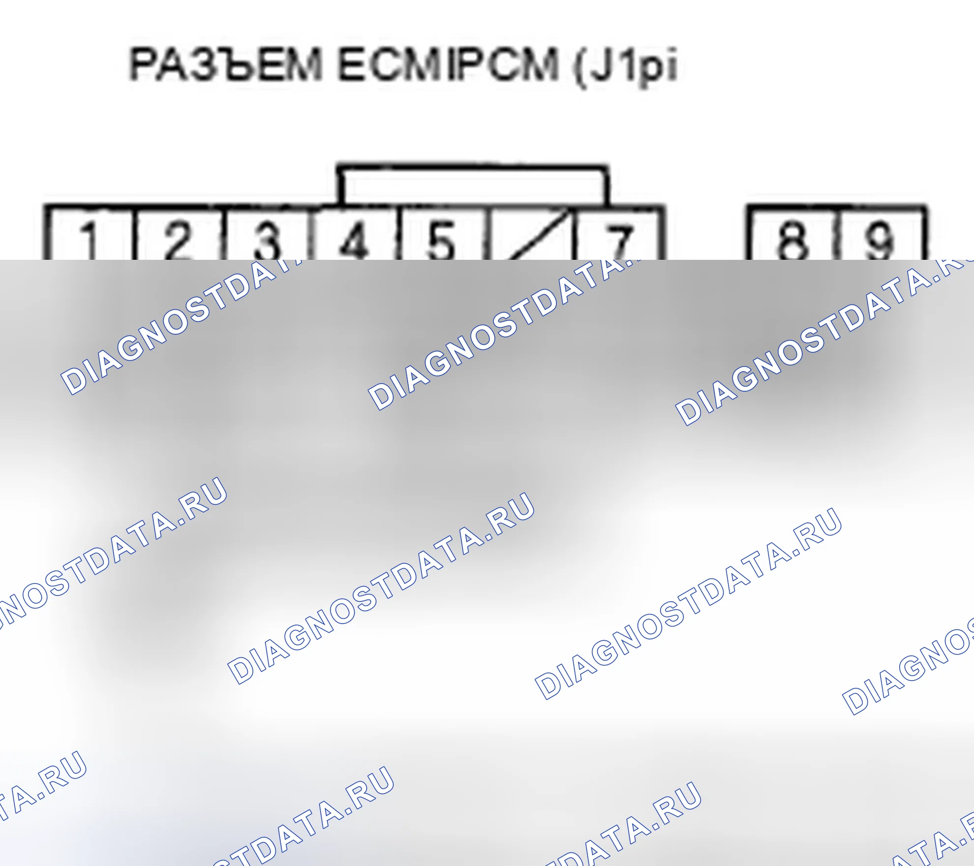 Рис. 442. Honda Element YH2 рестайлинг