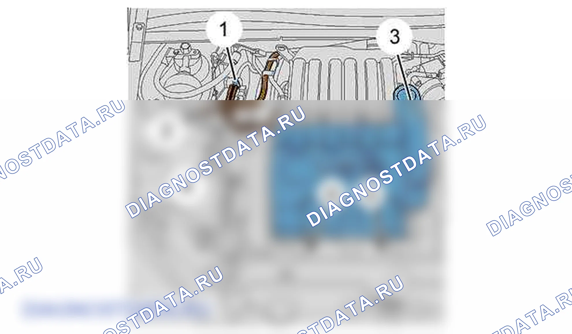 Снятие - Установка: ремень ГРМ — b1bm16bd. Citroen C5 II