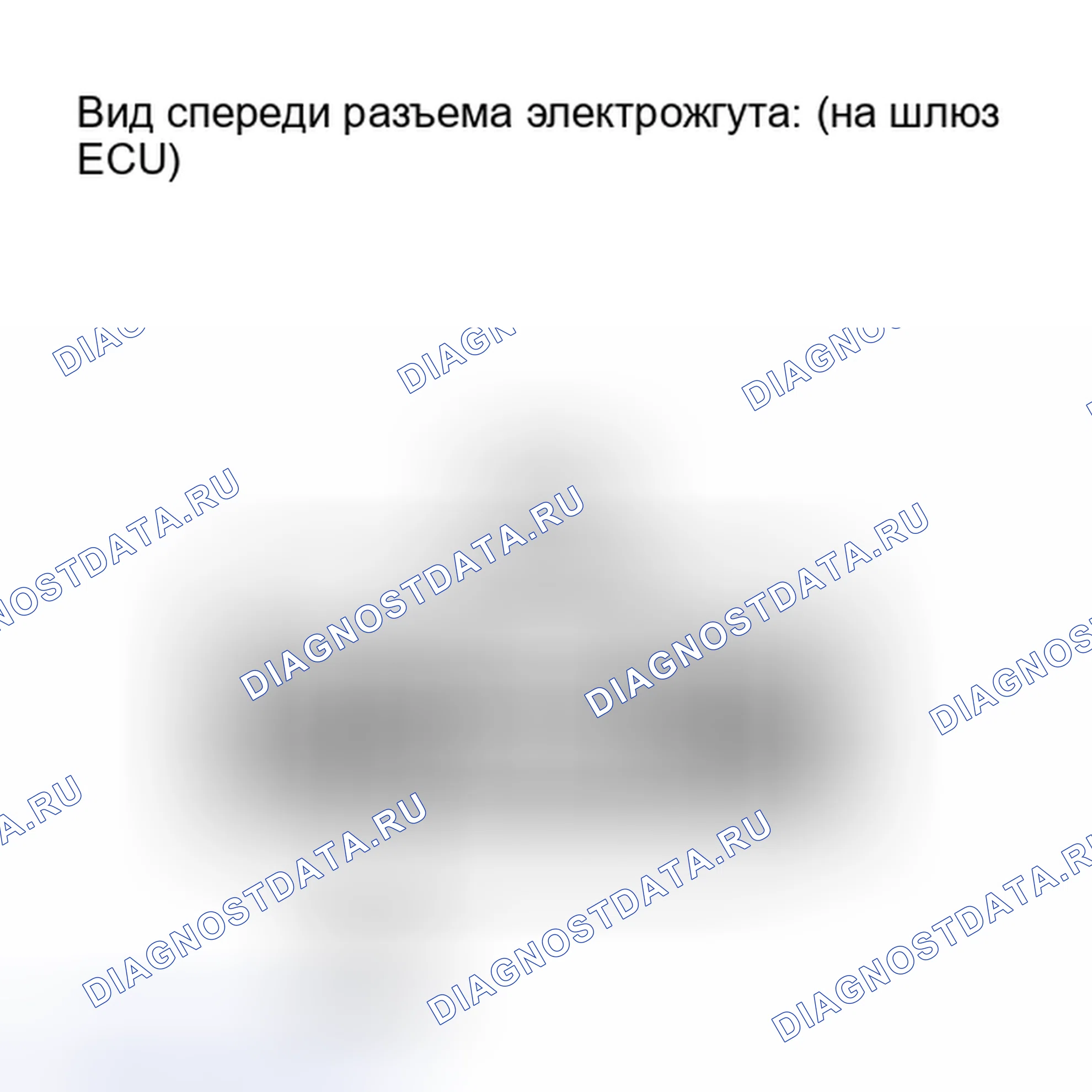 Рис. 152. Lexus IS F I