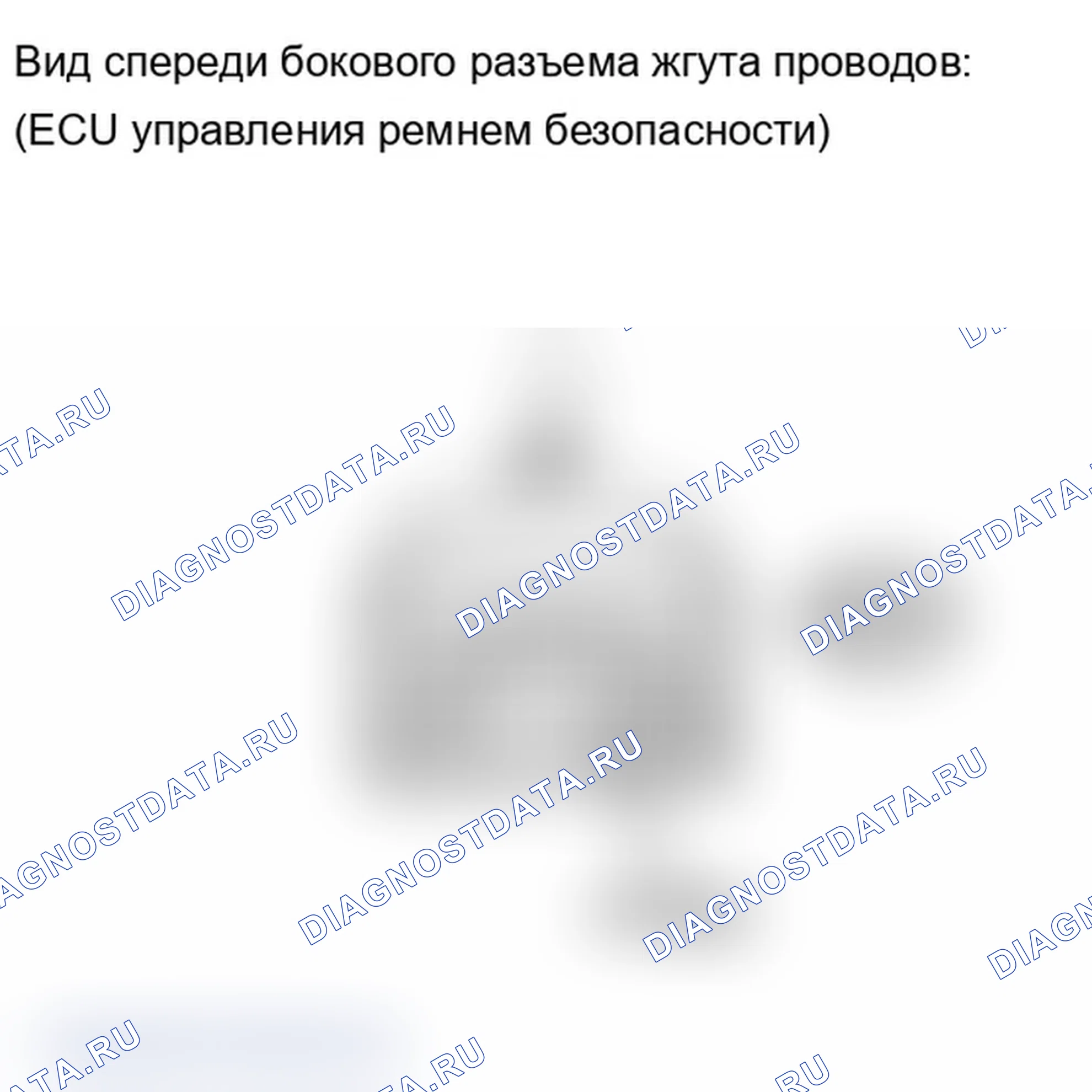 Рис. 82. Lexus IS F I