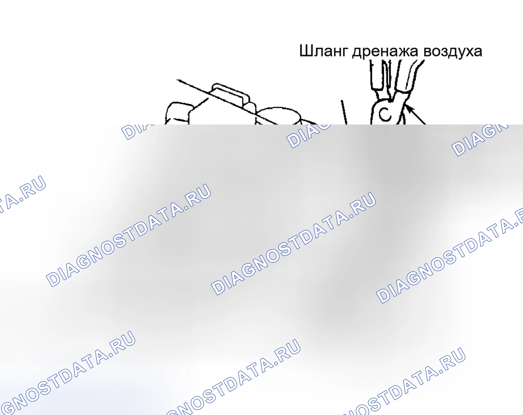 Рис. 117: Испытание топливной системы EVAP (RAV4). Toyota Camry Solara I