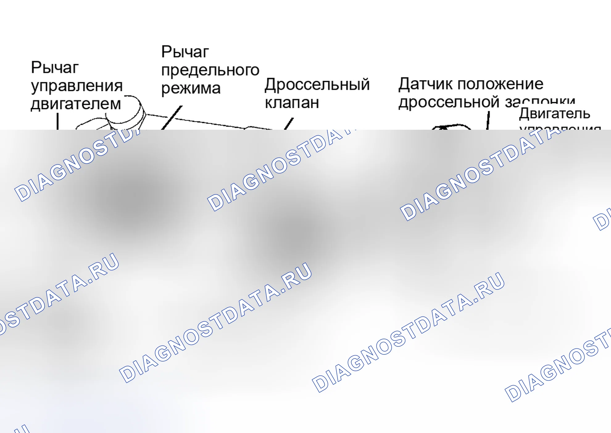 Рис. 5: Land Cruiser и Tundra 4.7L V8. Toyota Land Cruiser 100