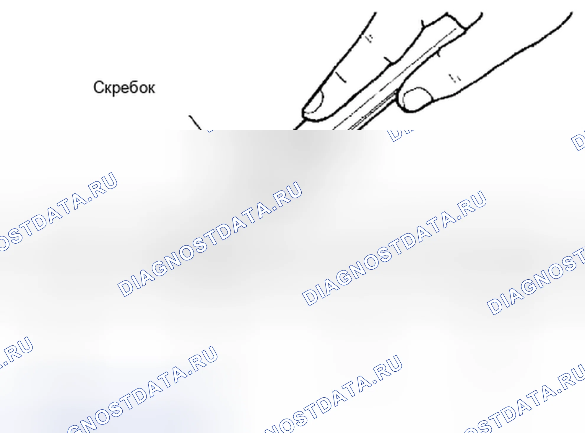 Рис. 205: ПРОЦЕДУРА УСТАНОВКИ ЖИДКОСТНОЙ ПРОКЛАДКИ. Suzuki Equator I