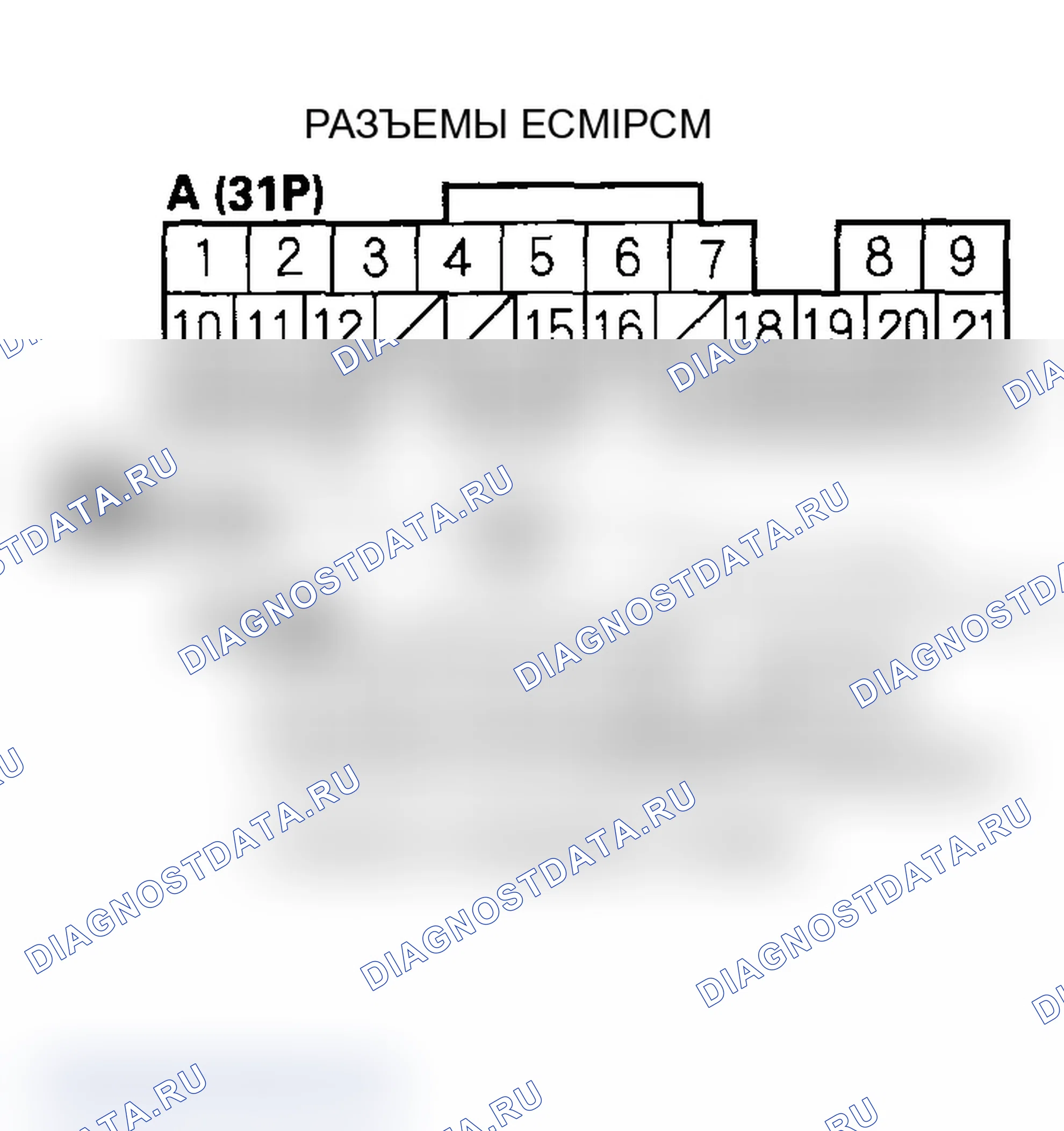 Рис. 394: Модели 2002-2004. Acura RSX I рестайлинг