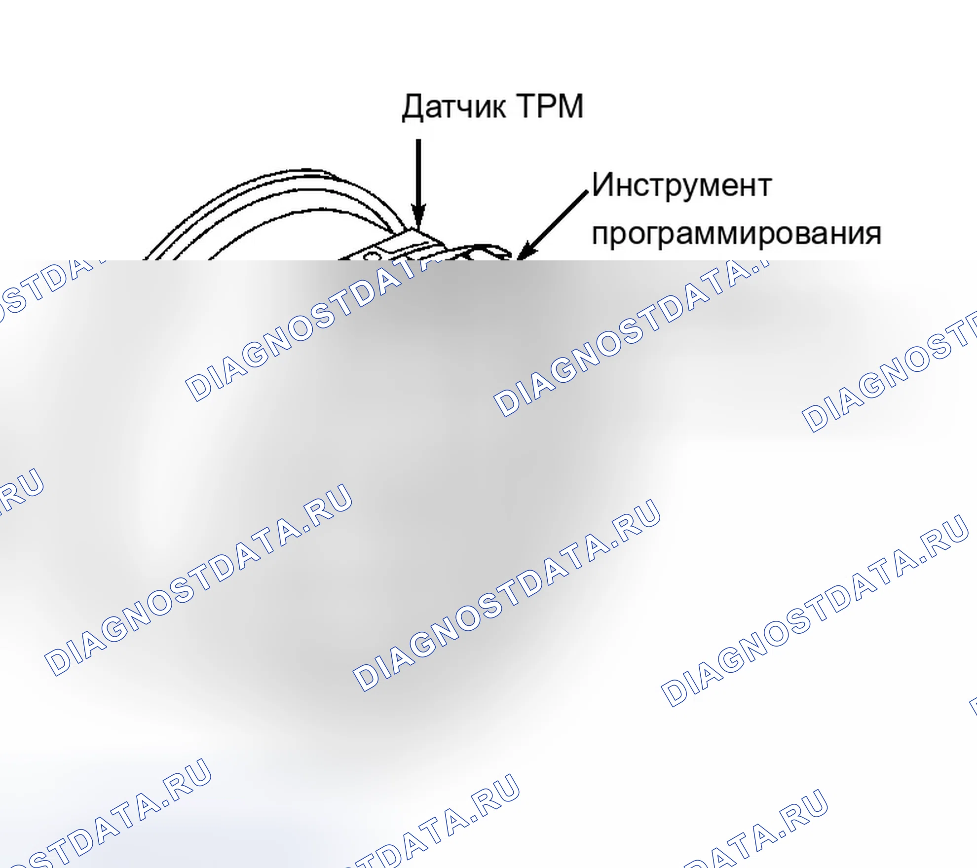 Рис. 22. Chevrolet Corvette C5