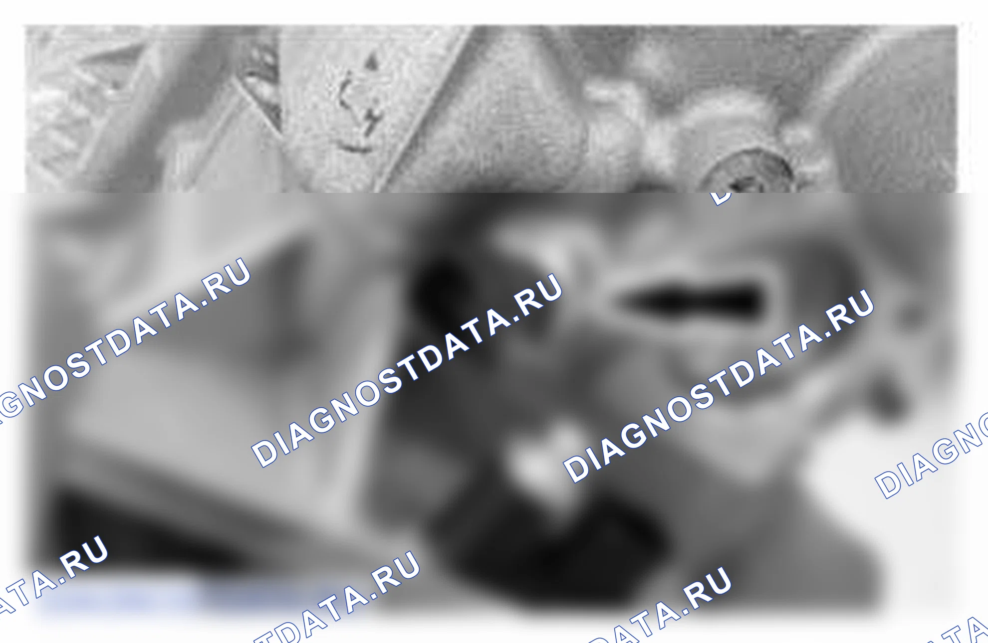 Рис. 894. Ford Mustang V рестайлинг