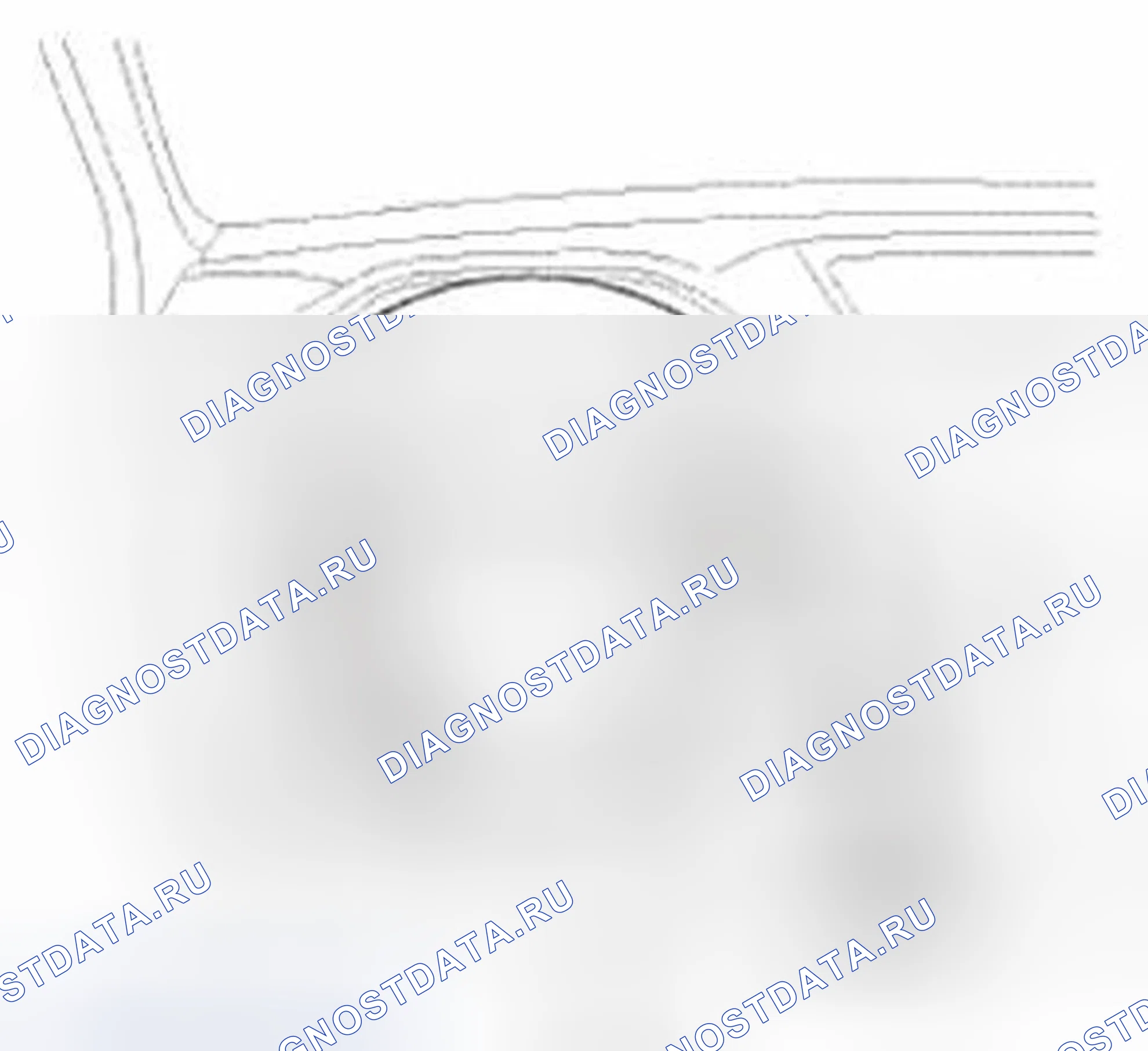 Рис. 1: Проверка управления рулевого механизма. Honda CR-V IV