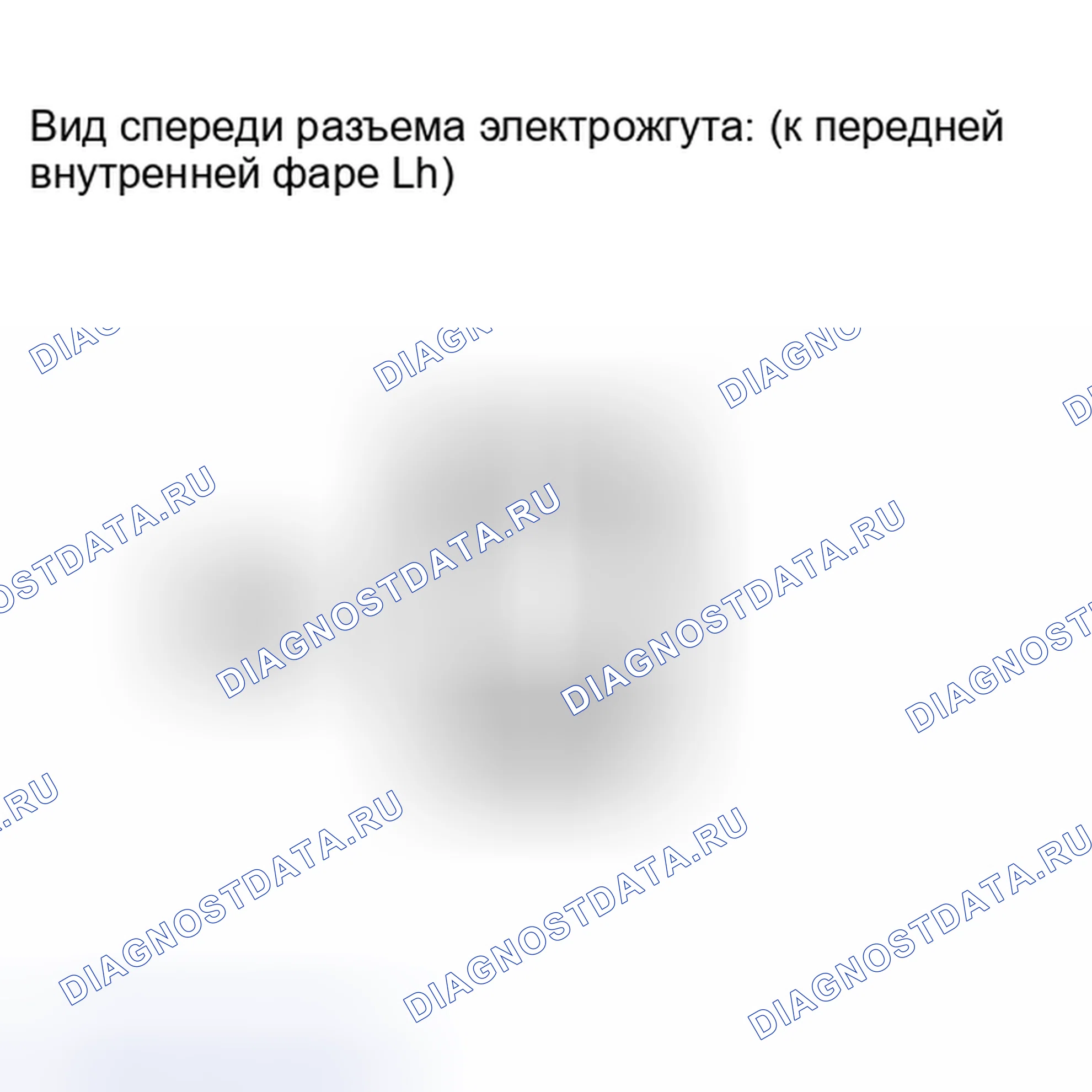 Рис. 209: ПОРЯДОК ВЫПОЛНЕНИЯ РАБОТ. Haval Xiaolong I