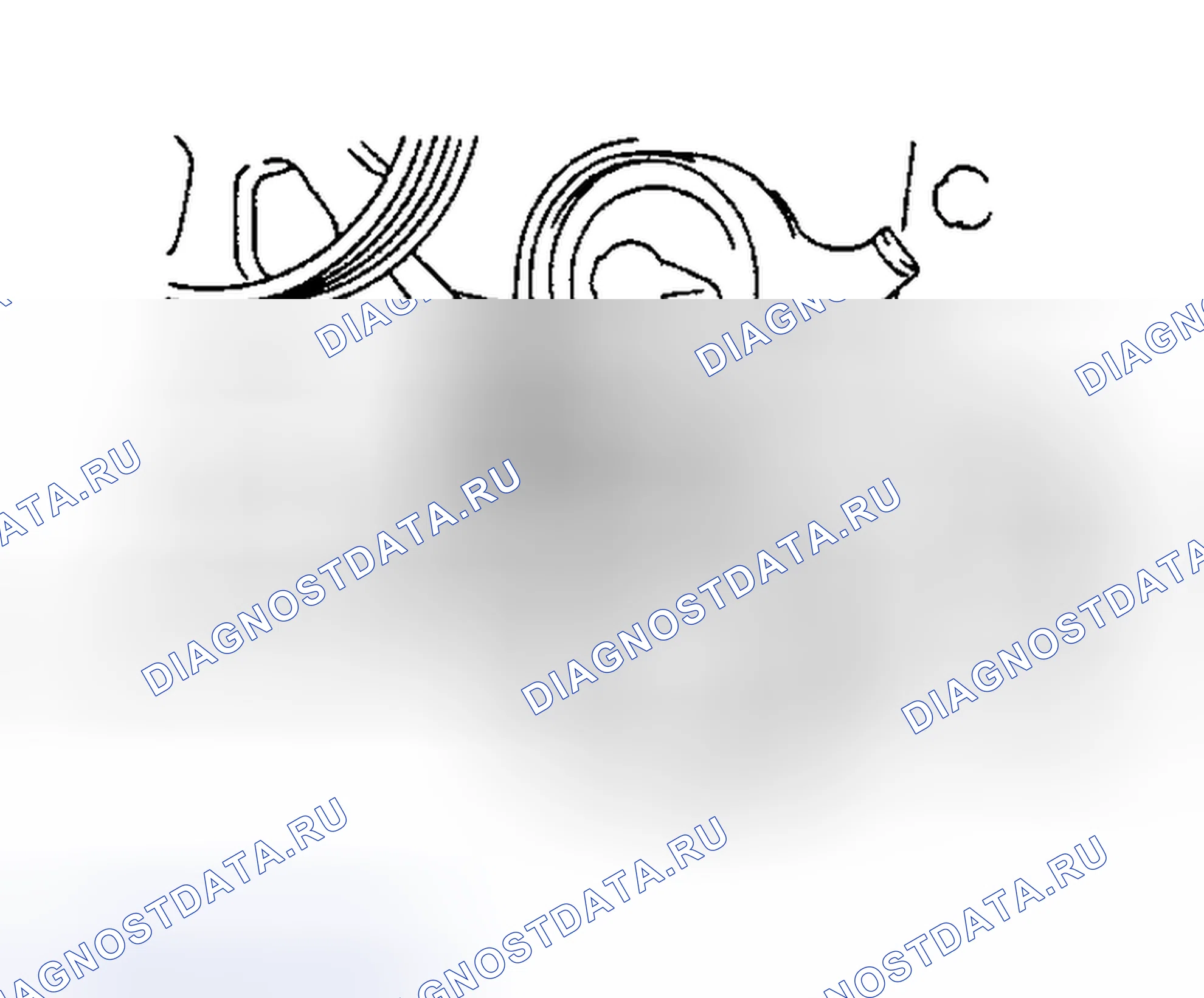 Рис. 28. Toyota Camry XV20