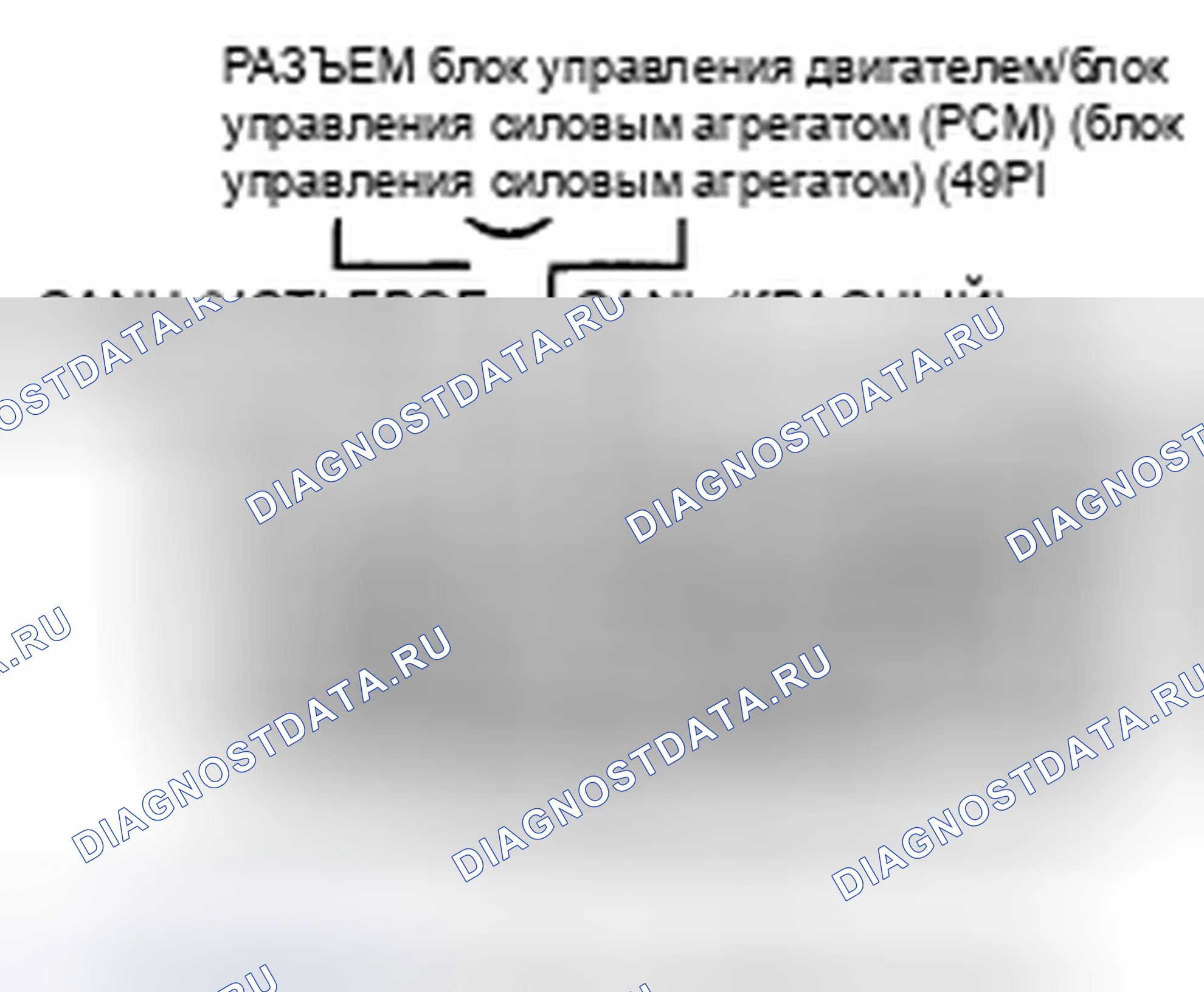 Рис. 844: Устранение неполадок в цепи F-CAN. Honda Accord VIII рестайлинг
