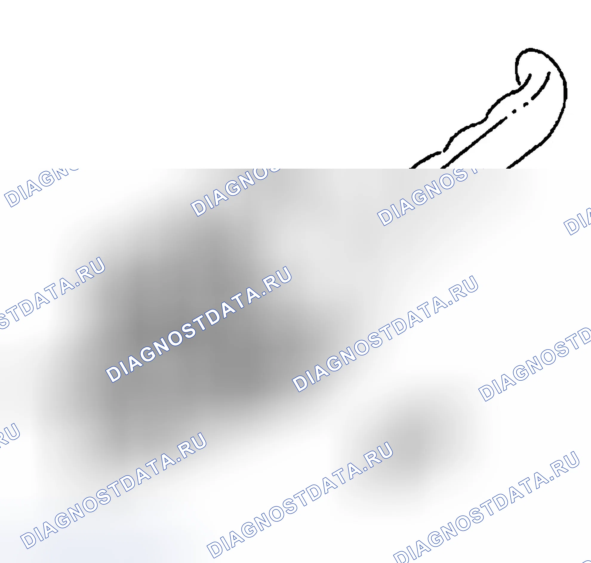 Рис. 253. Chevrolet Silverado 1500 HD 