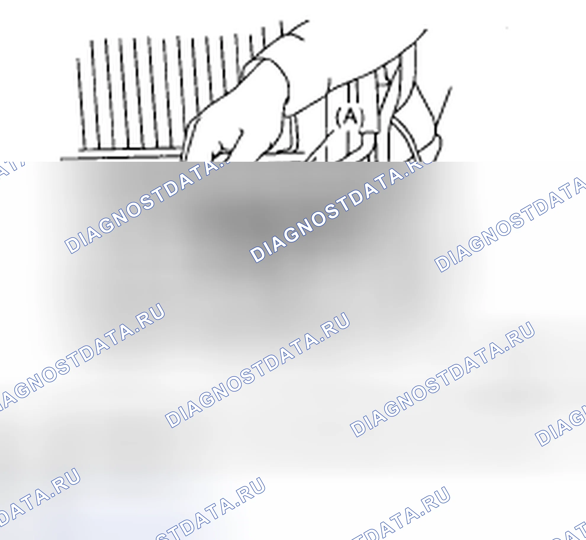 Рис. 297. Subaru Impreza GD/GC/GG рестайлинг 2