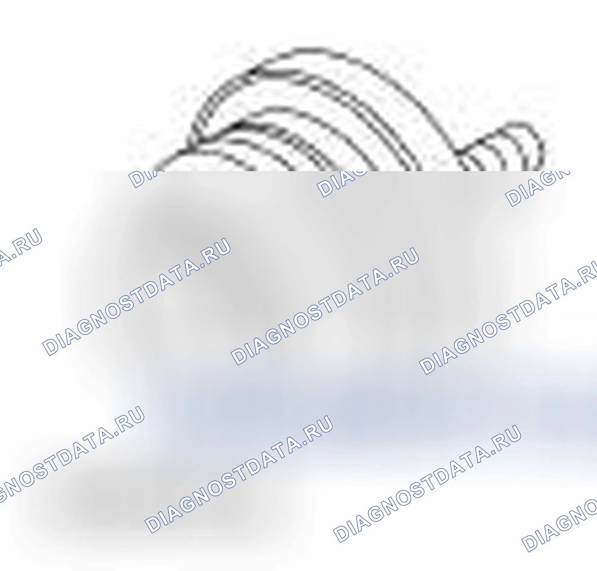 Рис. 25. Ford Mustang V