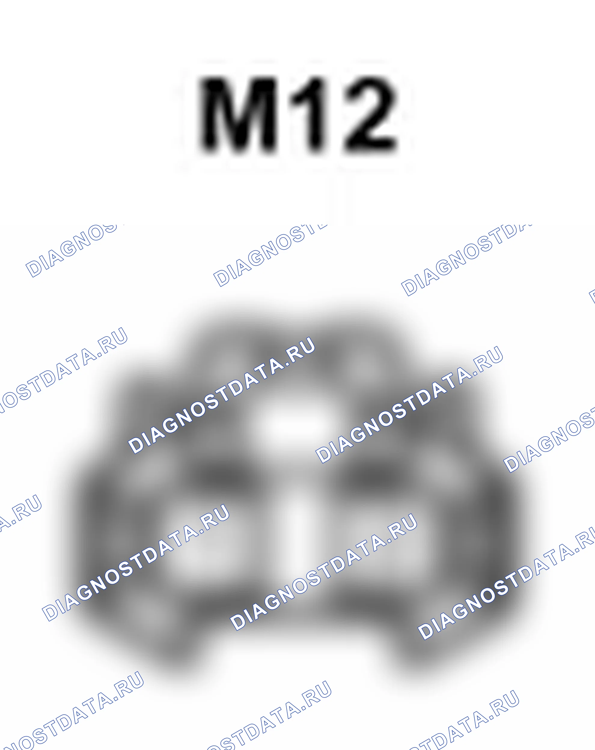 Рис. 369: Вид с торца левого разъема громкоговорителя No2 спереди (M12). Lexus IS F I