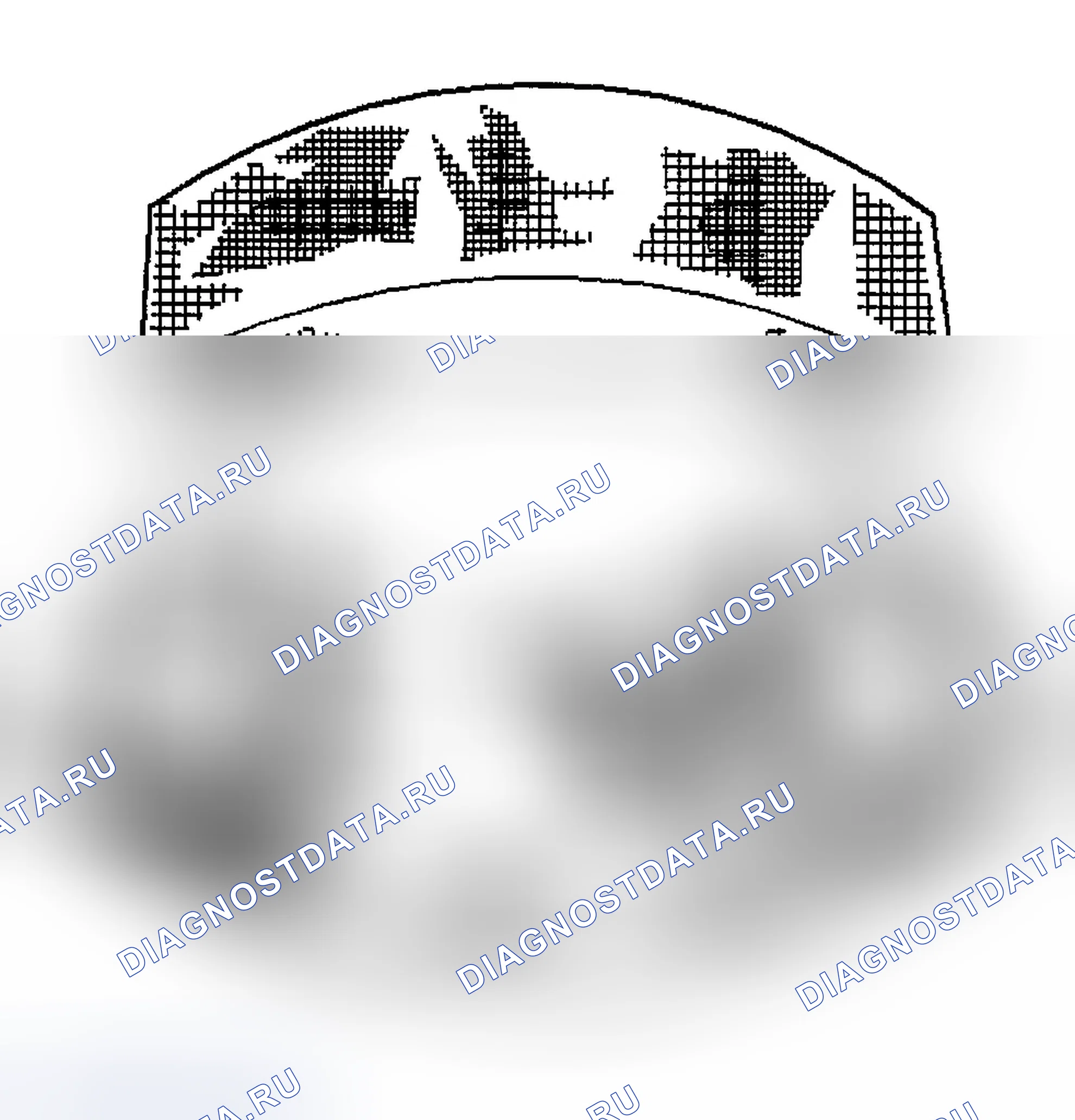 Рис. 226: Мазки. Chevrolet Chevy Express H2500 