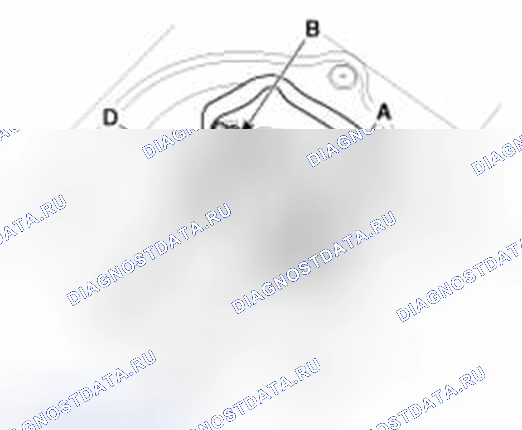 Рис. 4. Haval Beast (Shenshou) I